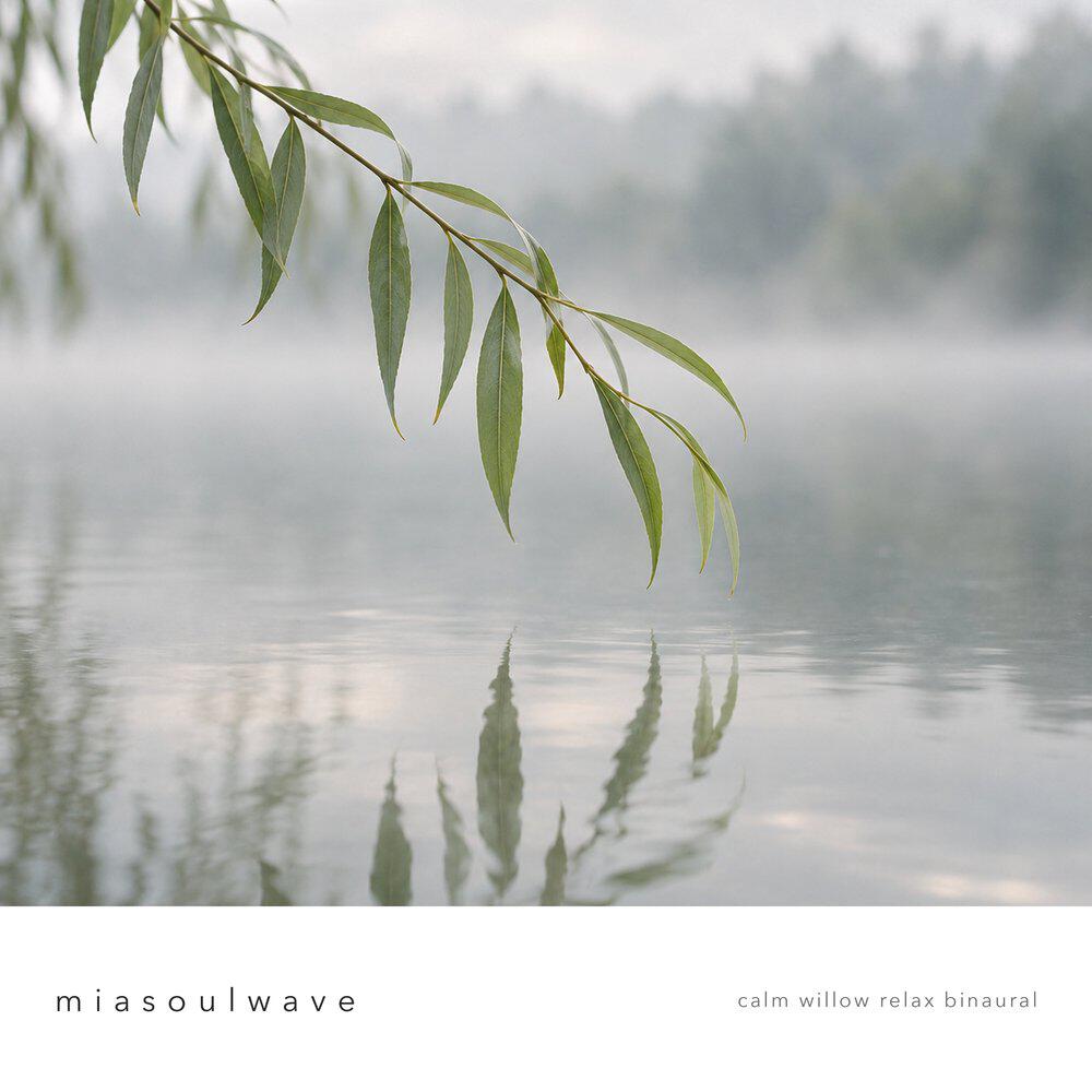 Релиз calm willow relax binaural