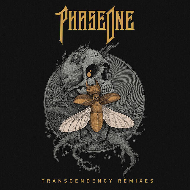 Релиз Demon Hunter (Phiso Remix)