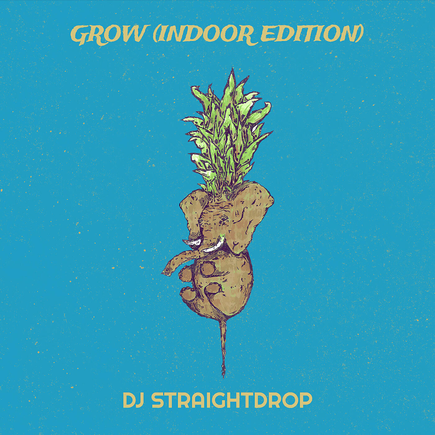 DJ STRAIGHTDROP