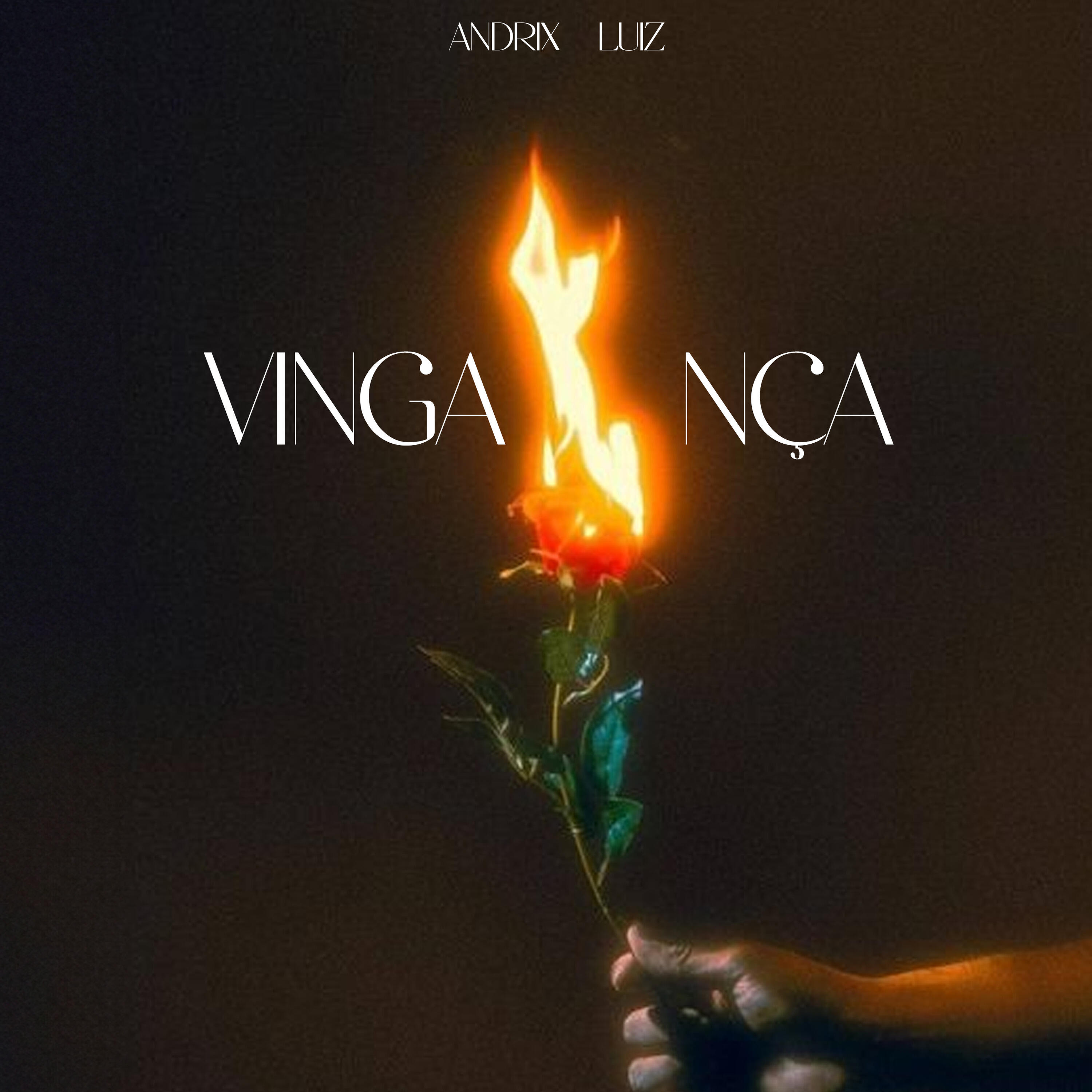 Релиз Vingança