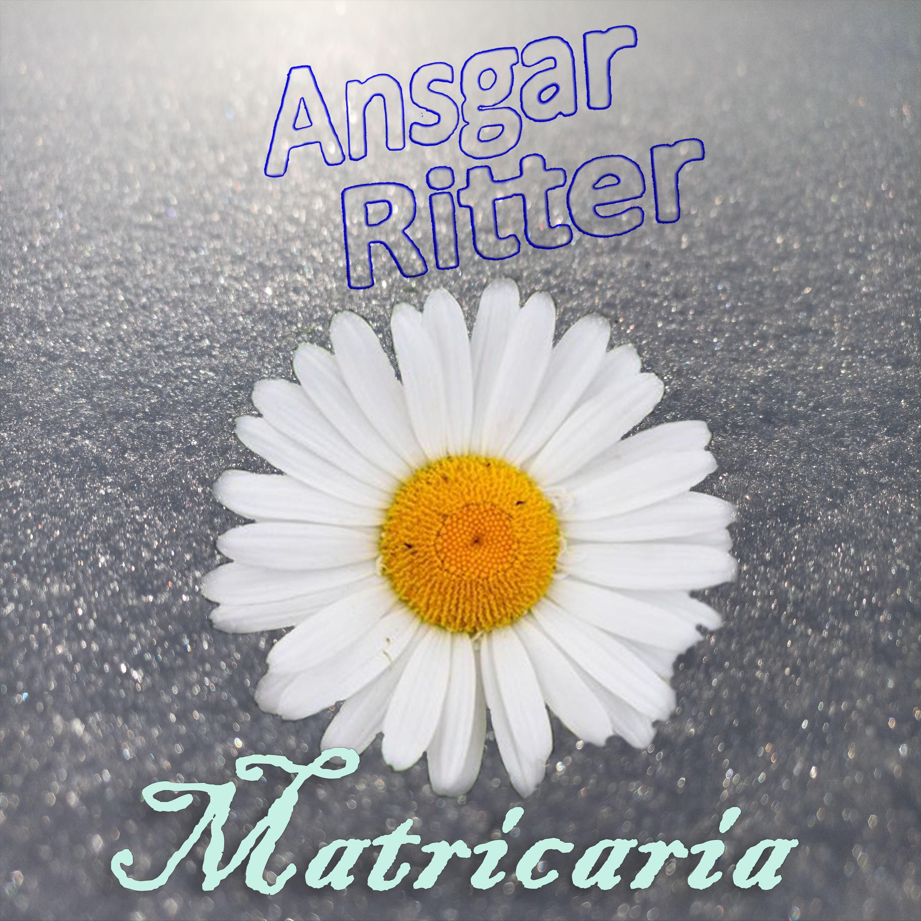 Релиз Matricaria