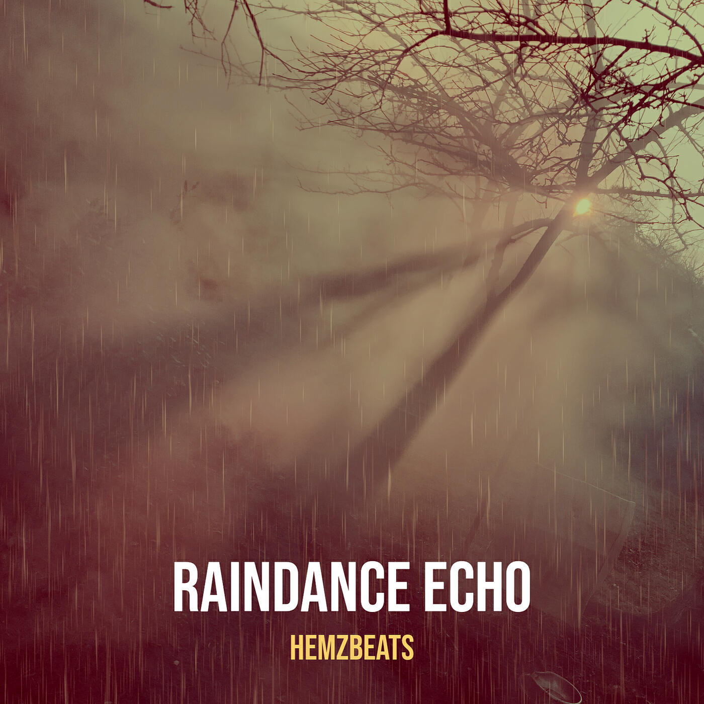 Релиз Raindance Echo