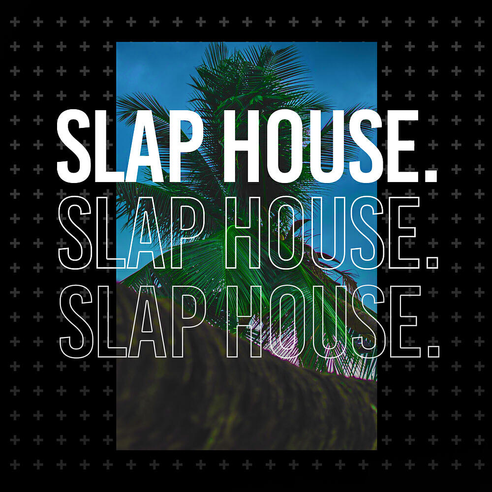 Постер альбома Slap House