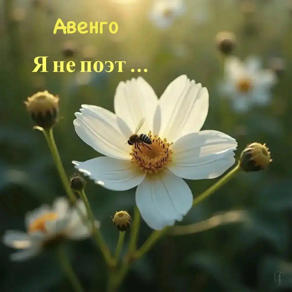 Релиз Я не поэт...