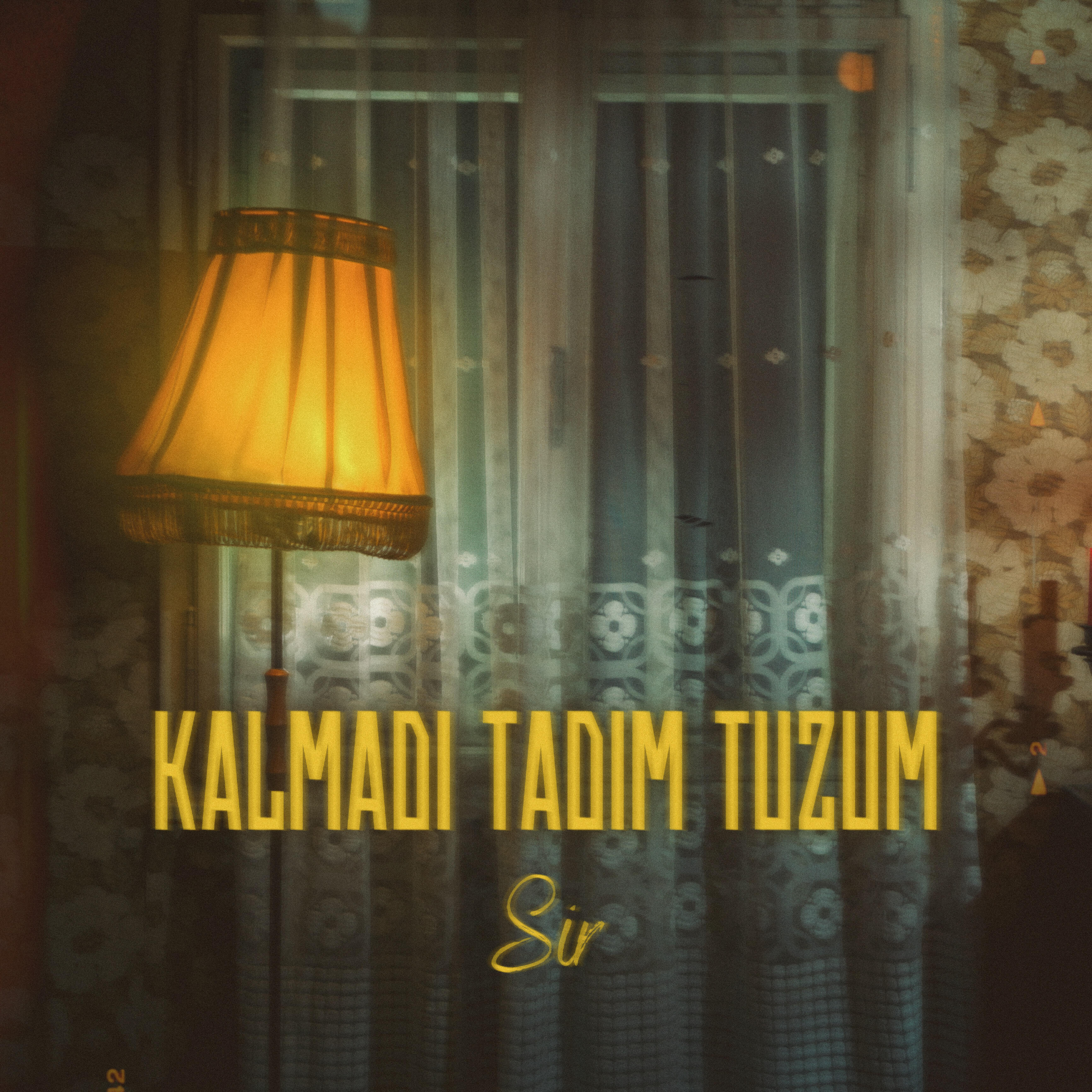 Постер альбома Kalmadı Tadım Tuzum