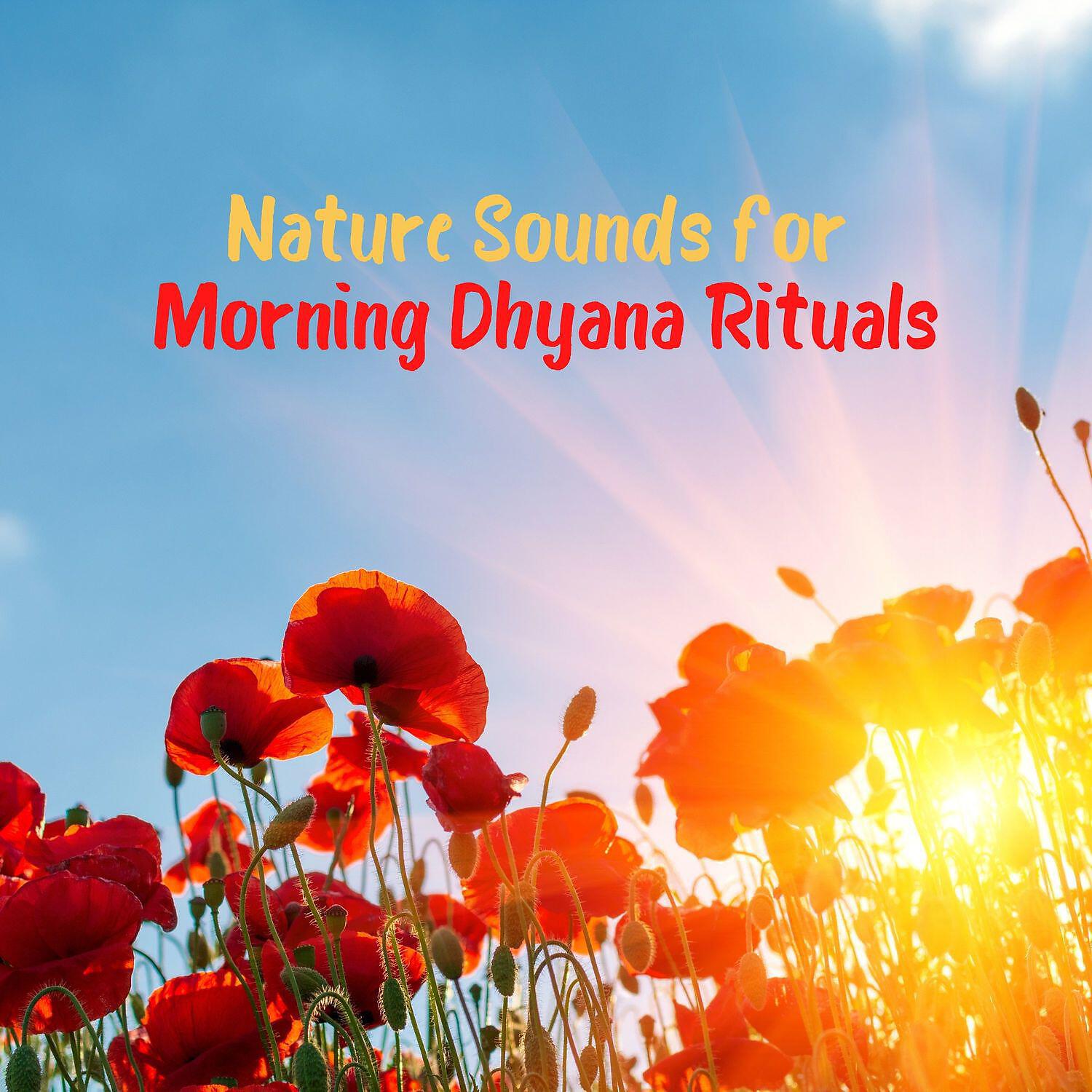 Релиз Nature Sounds for Morning Dhyana Rituals: State of Perfect Equanimity and Awareness