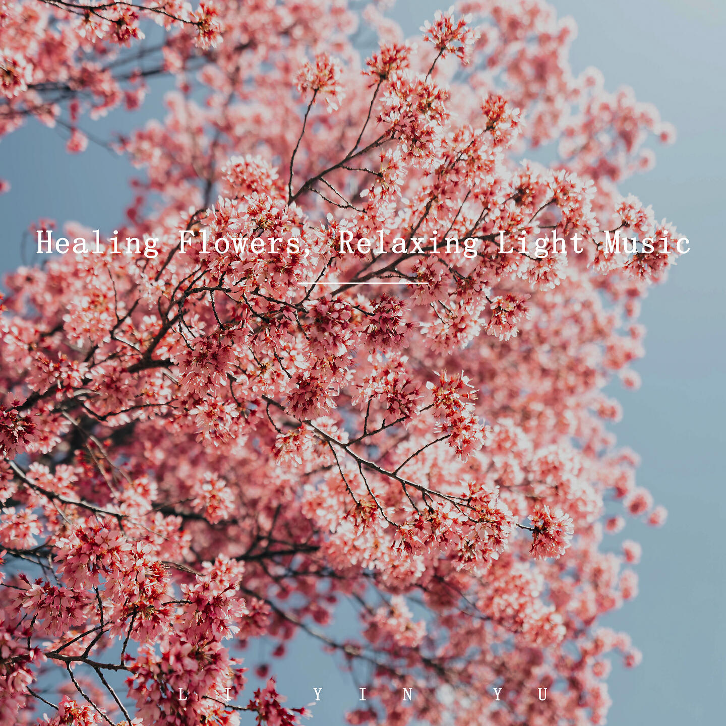 Релиз Healing Flowers, Relaxing Light Music