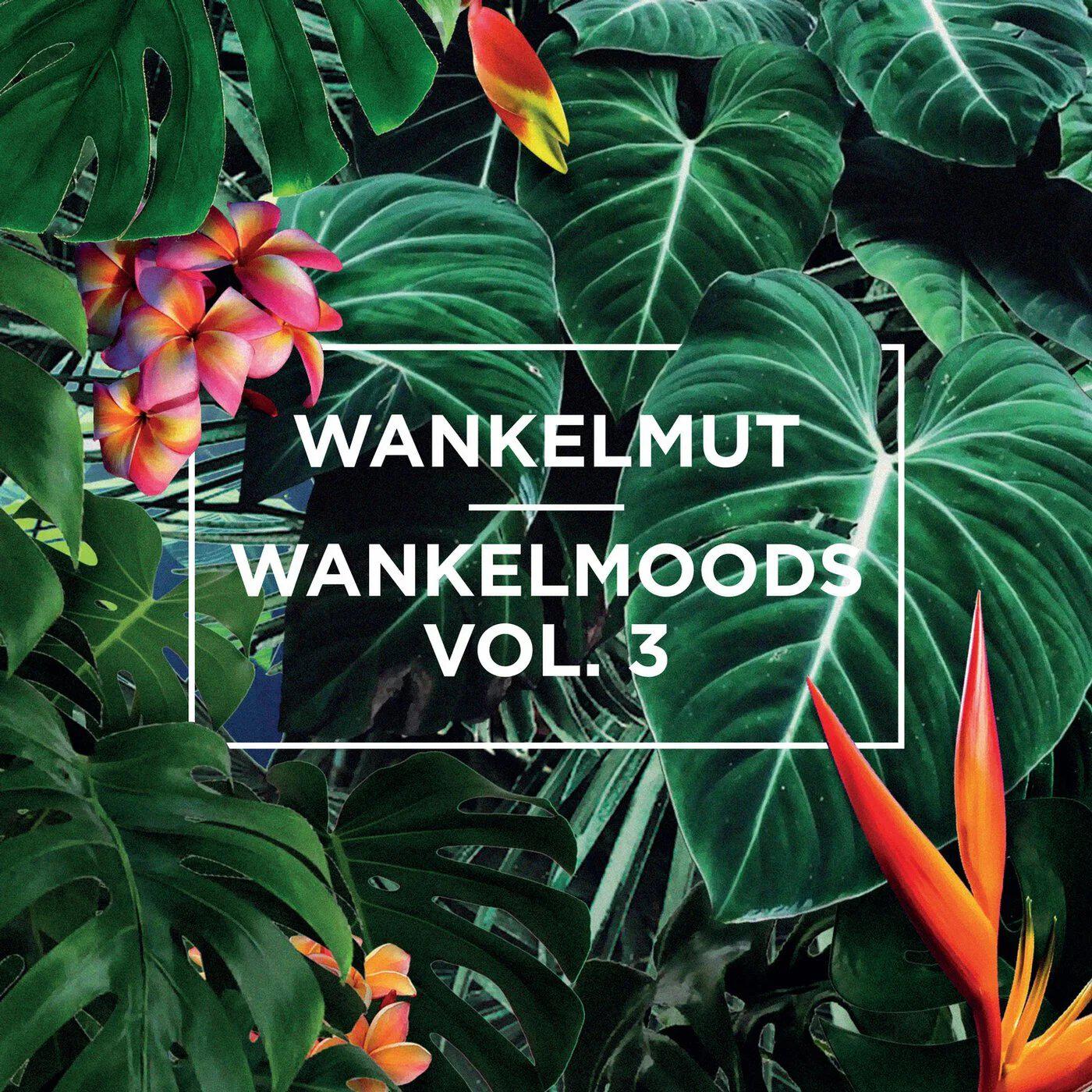 Релиз Wankelmoods, Vol. 3