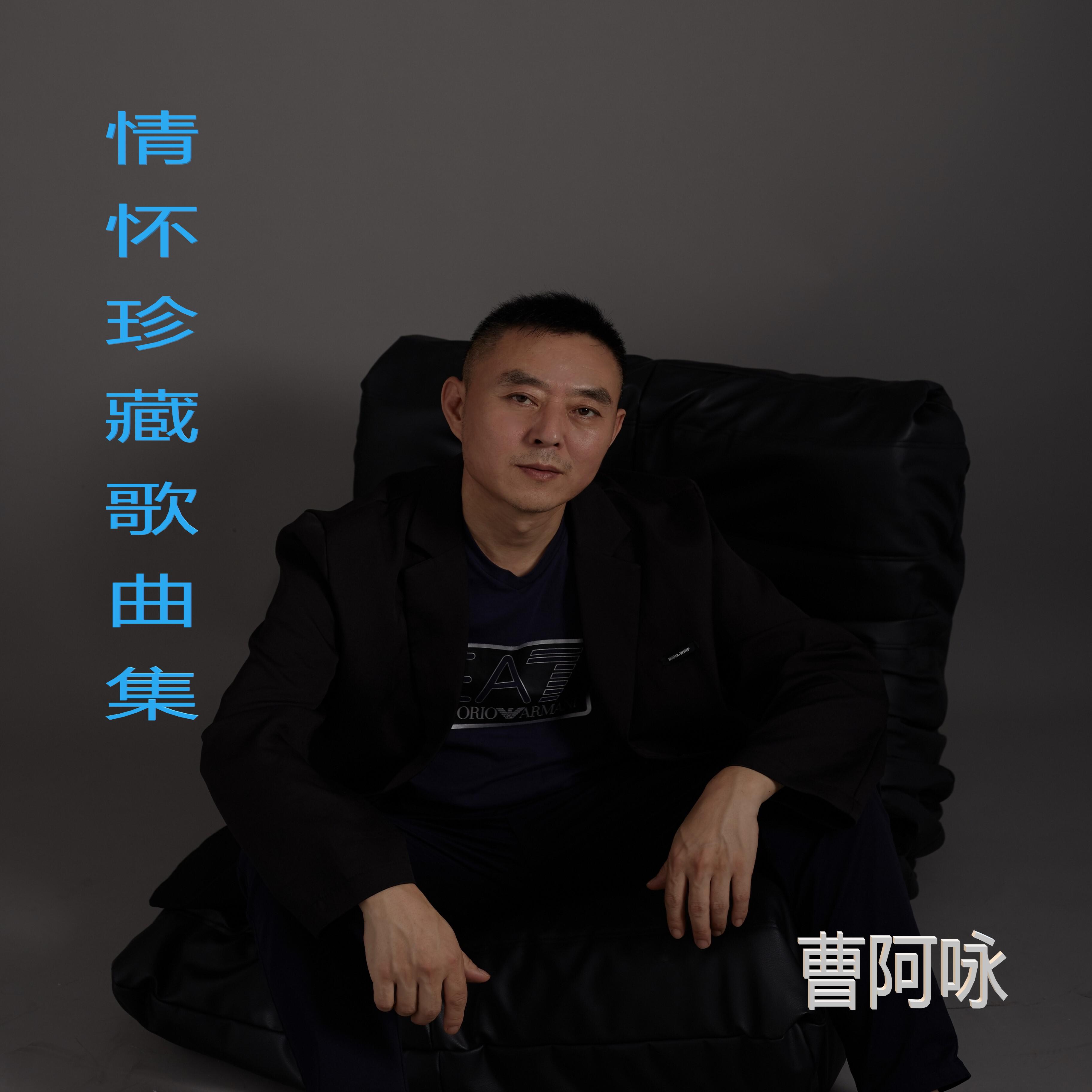 Релиз 情怀珍藏歌曲集
