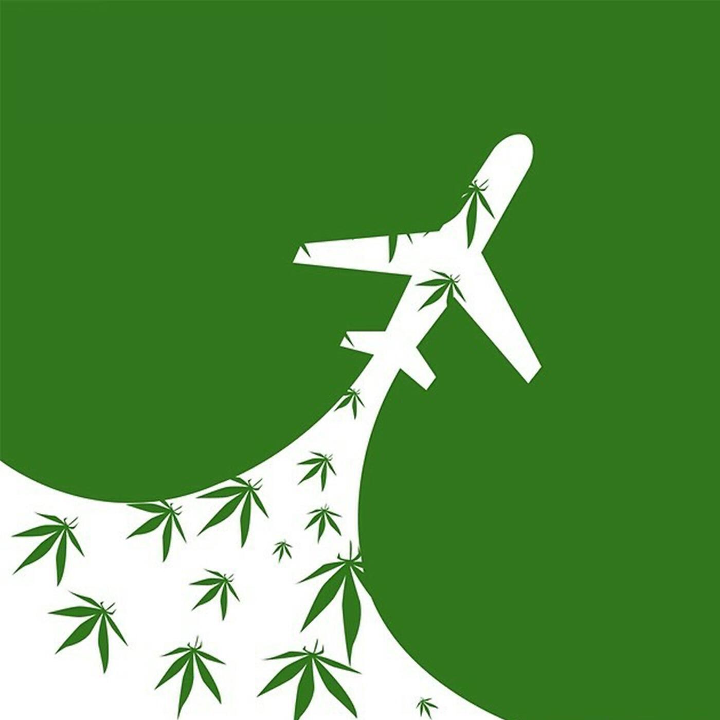 Релиз Book a Flight (feat. Ashana)