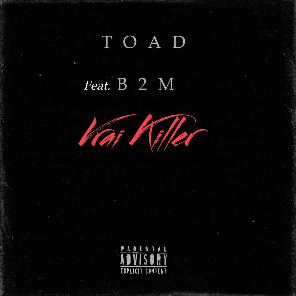 Релиз Vrai Killer