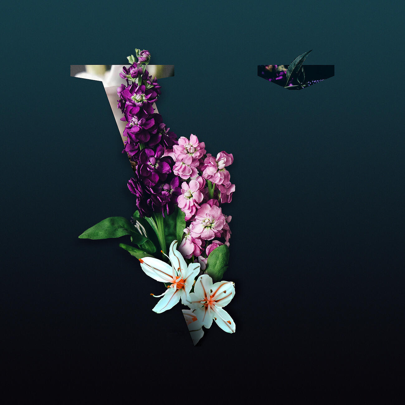 Релиз Don't Wanna Know (Le Youth Remix)