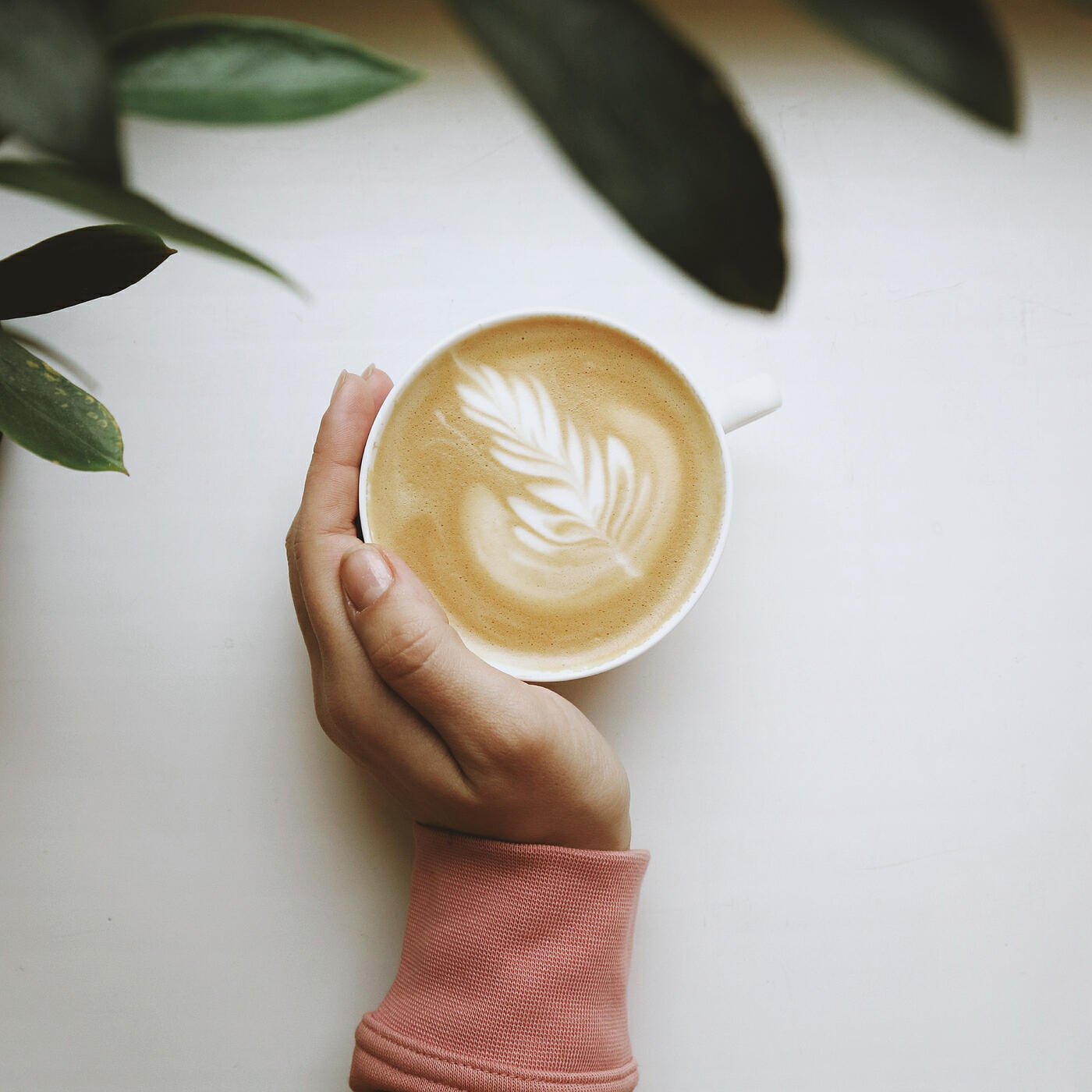 Релиз Craving for Coffee