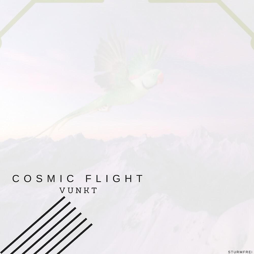 Релиз Cosmic Flight