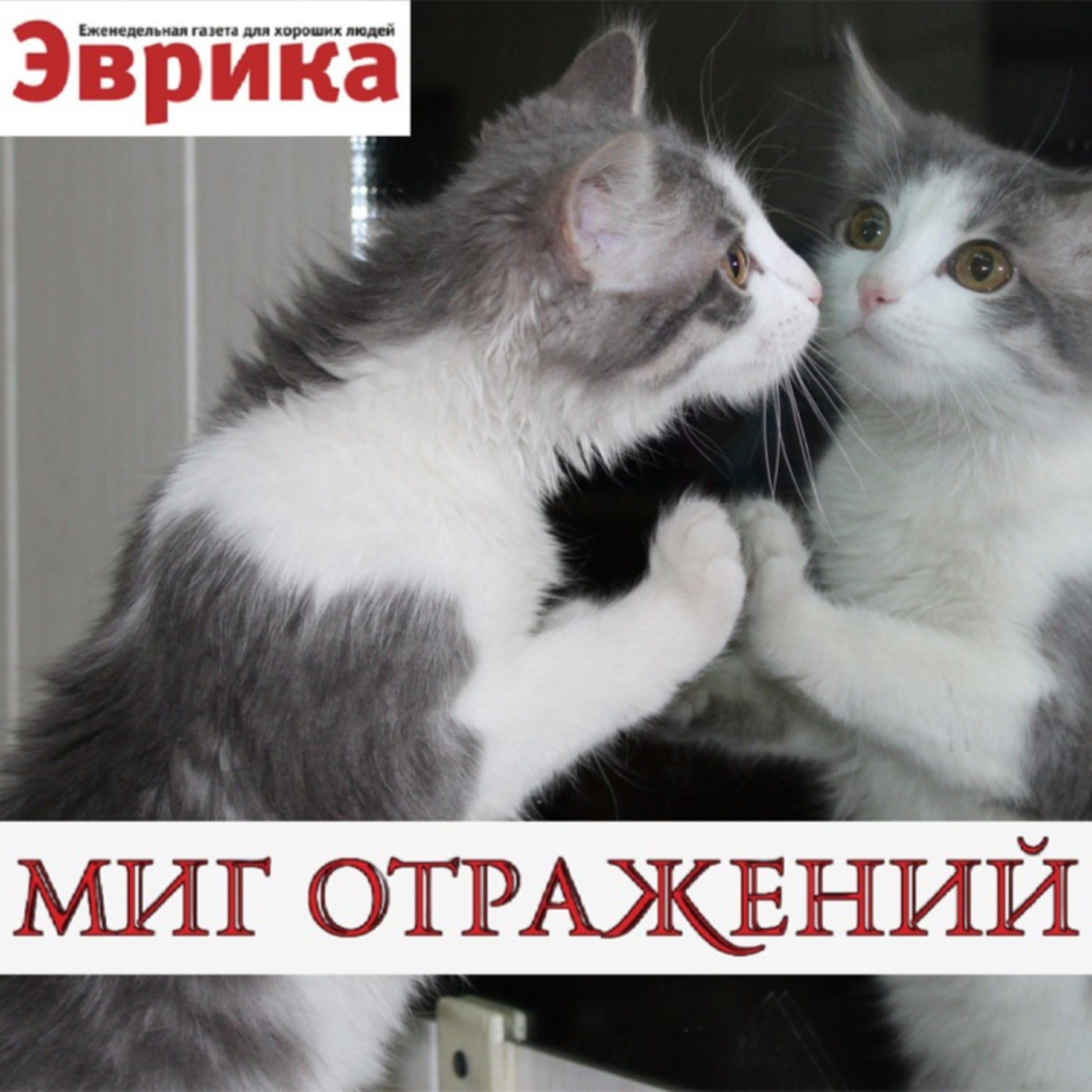 Подкаст Миг отражений