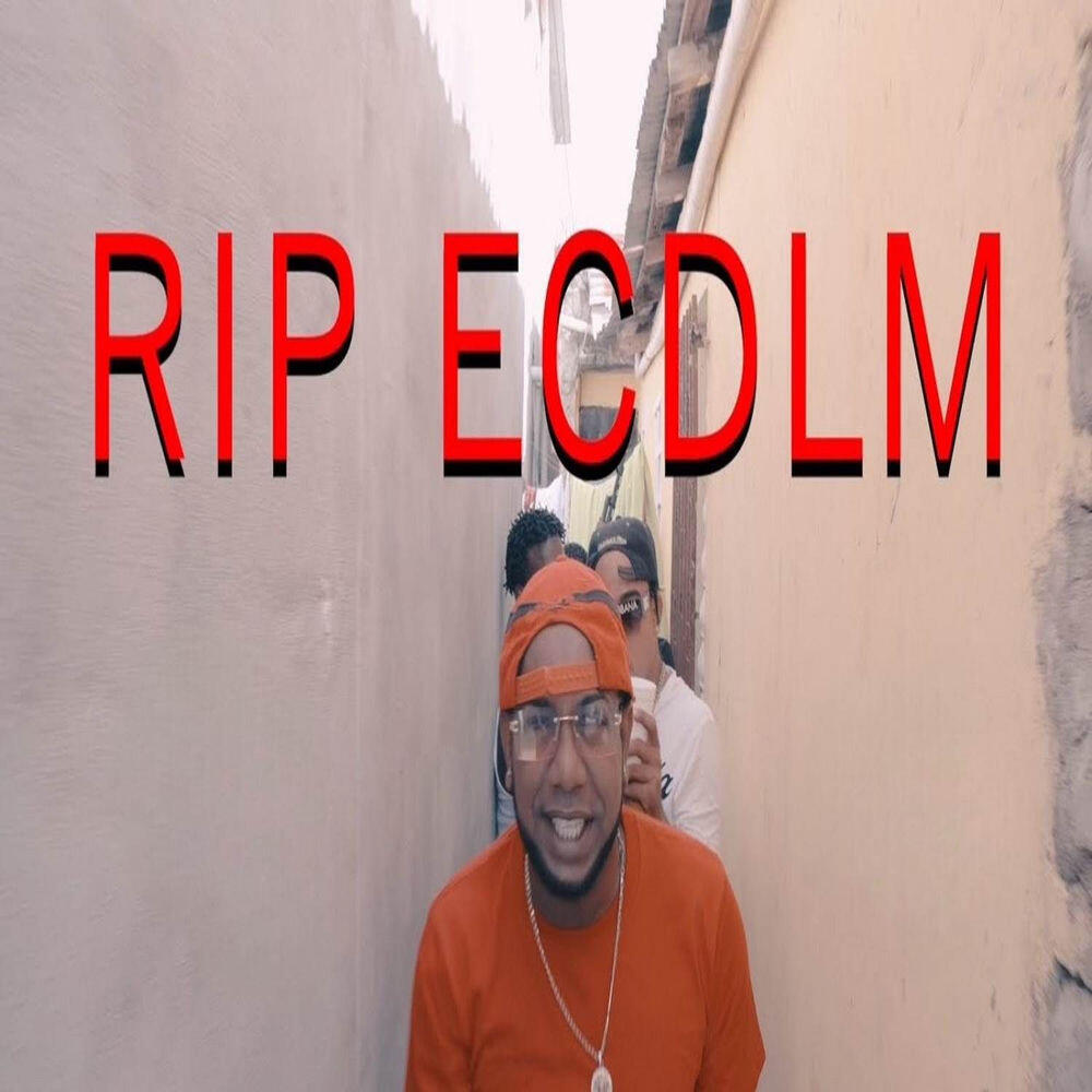 Релиз Rip ECDLM