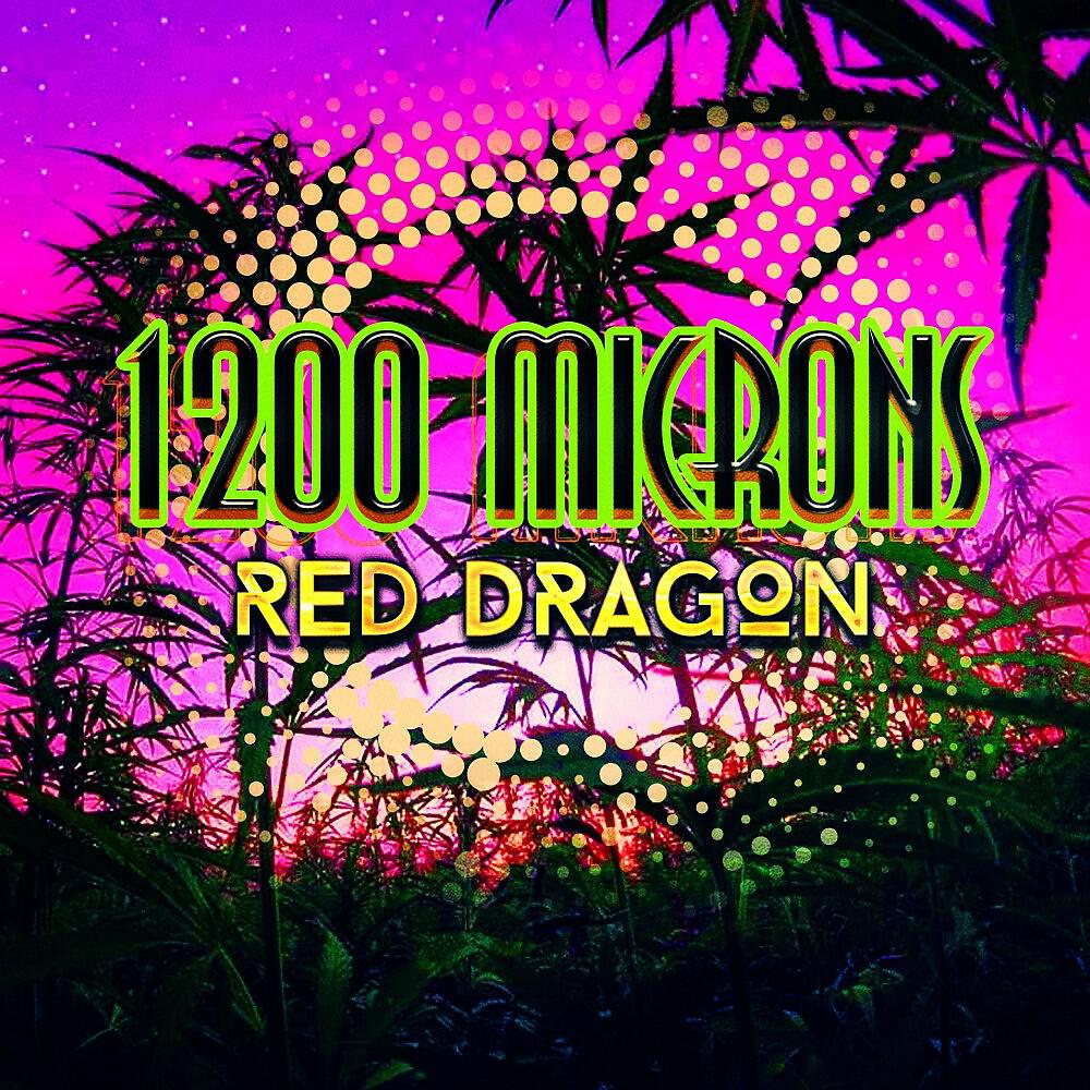 Постер альбома Red Dragon
