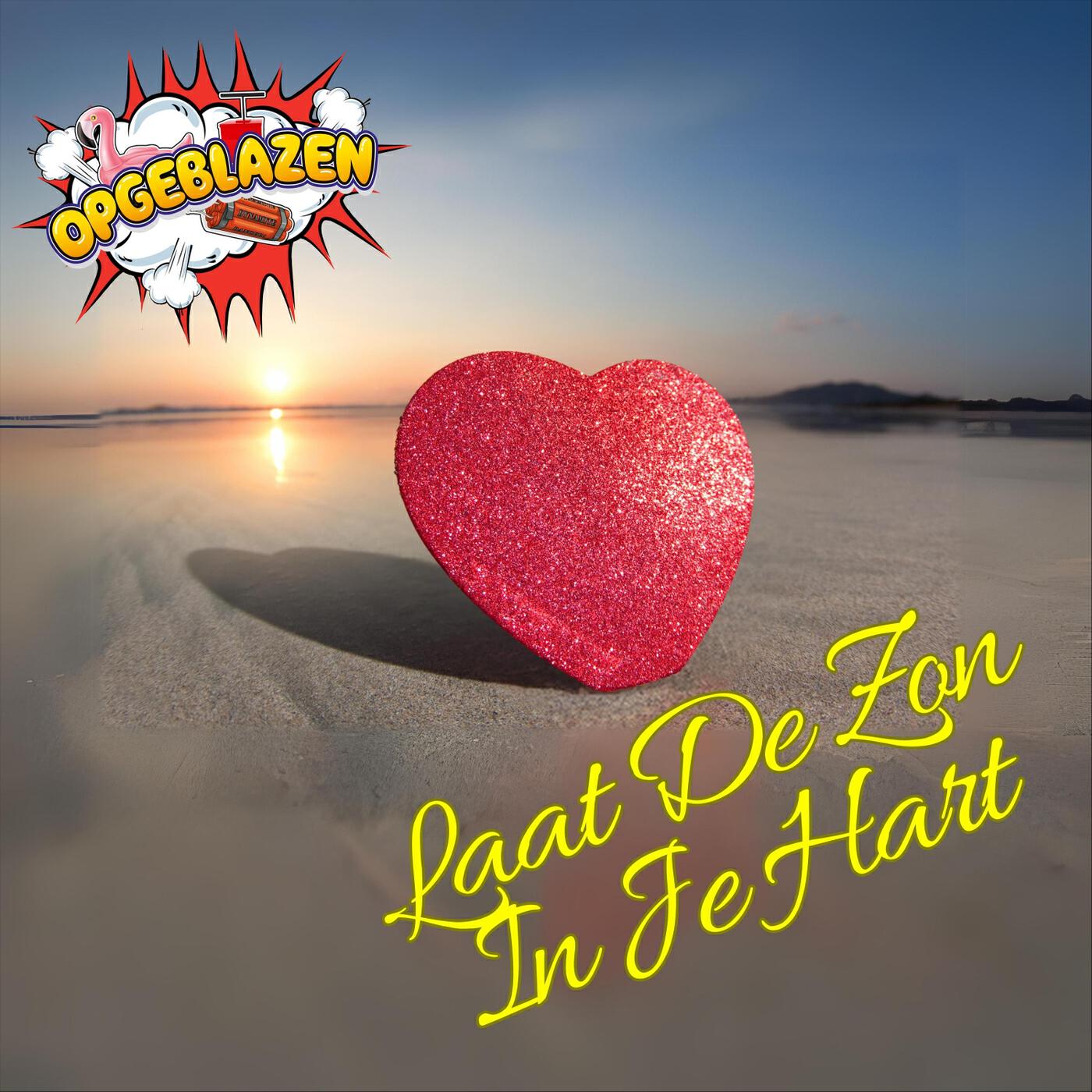 Релиз Laat De Zon In Je Hart