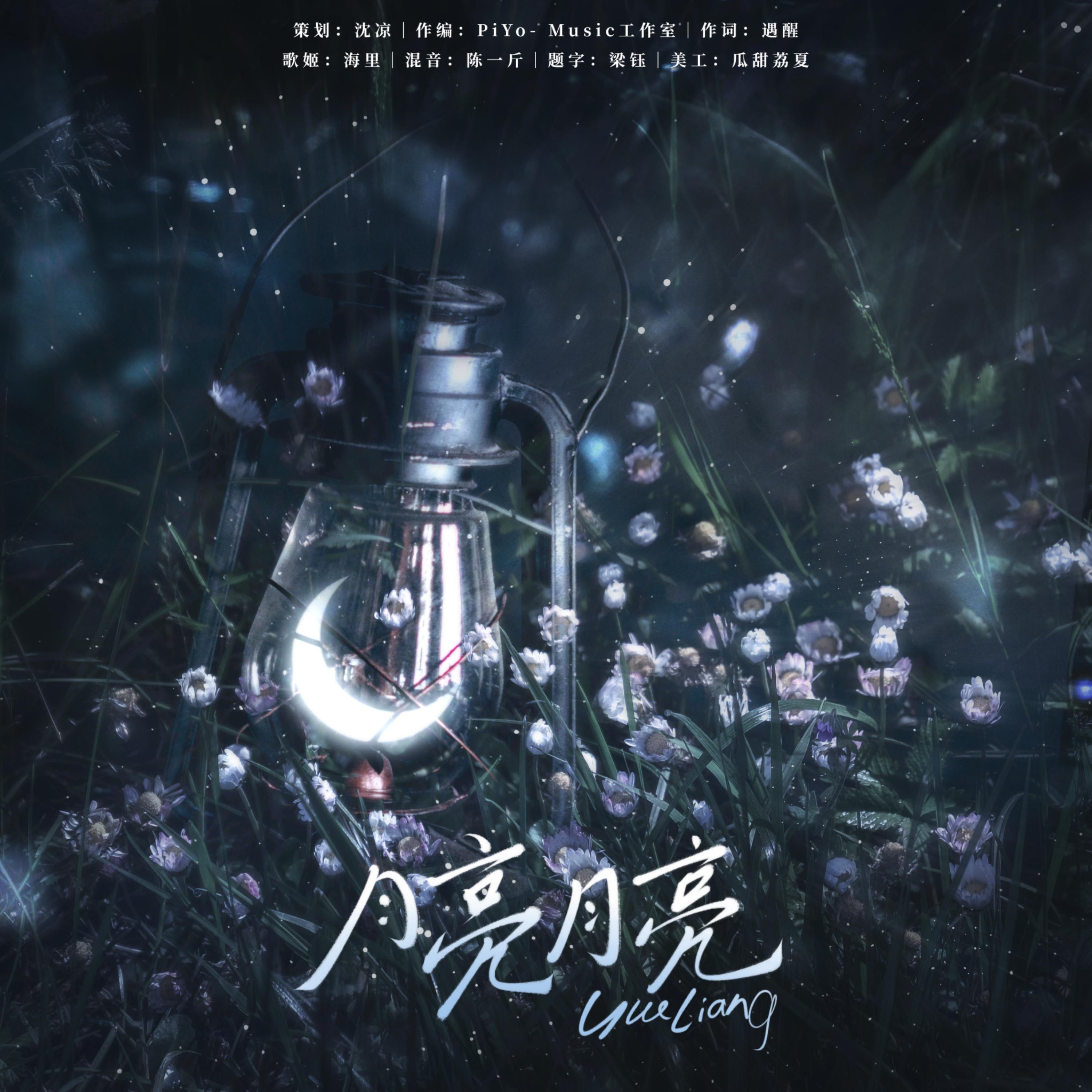 Релиз 月亮月亮