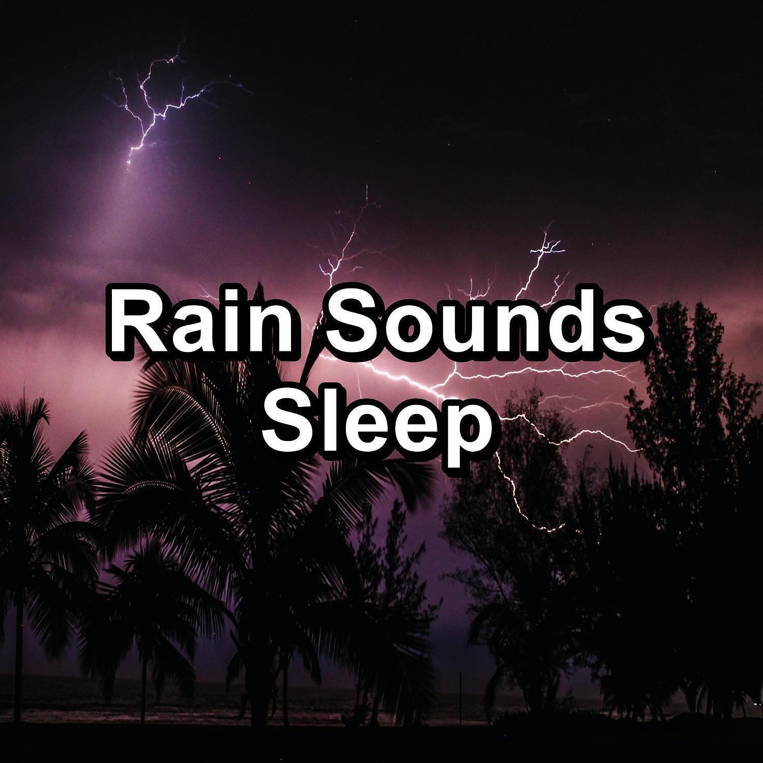 Релиз Rain Sounds Sleep
