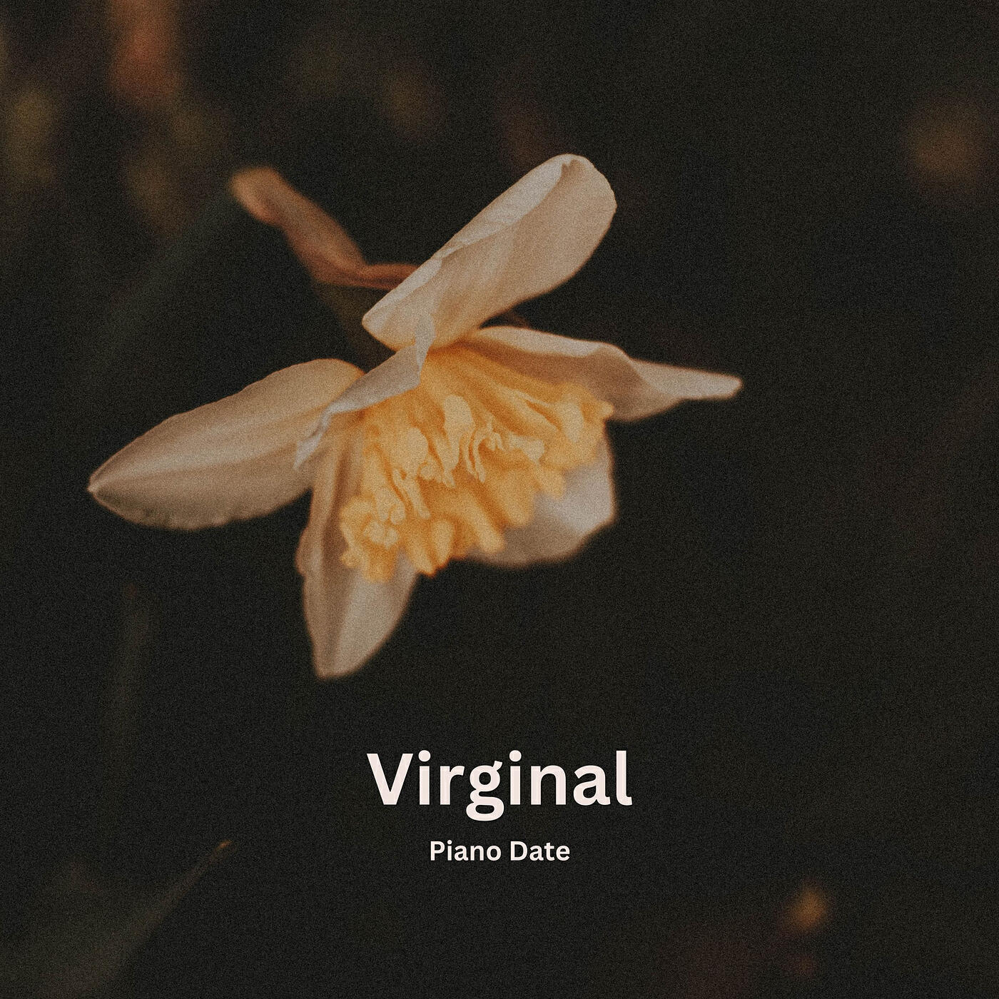 Релиз Virginal