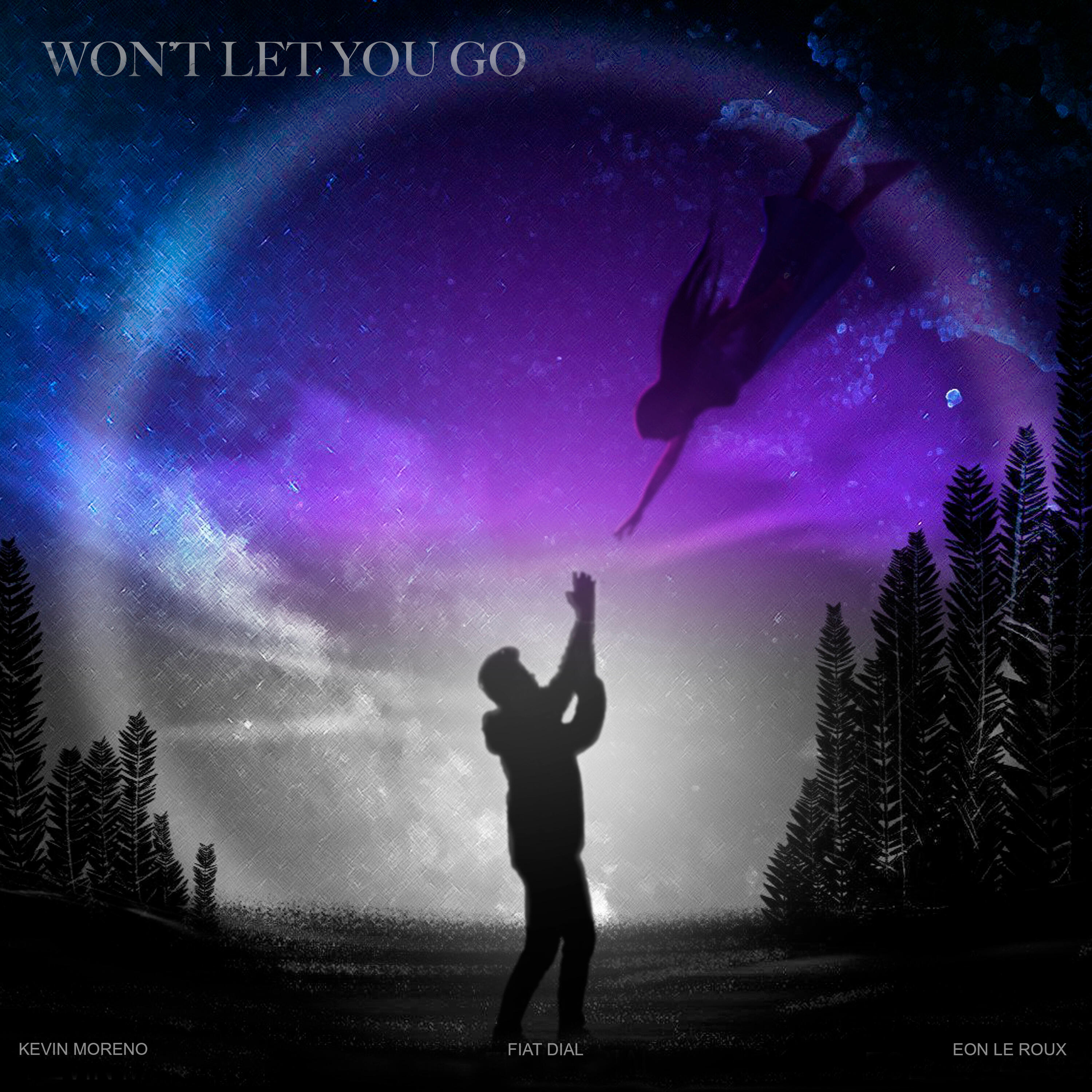 Постер альбома Won't Let You Go