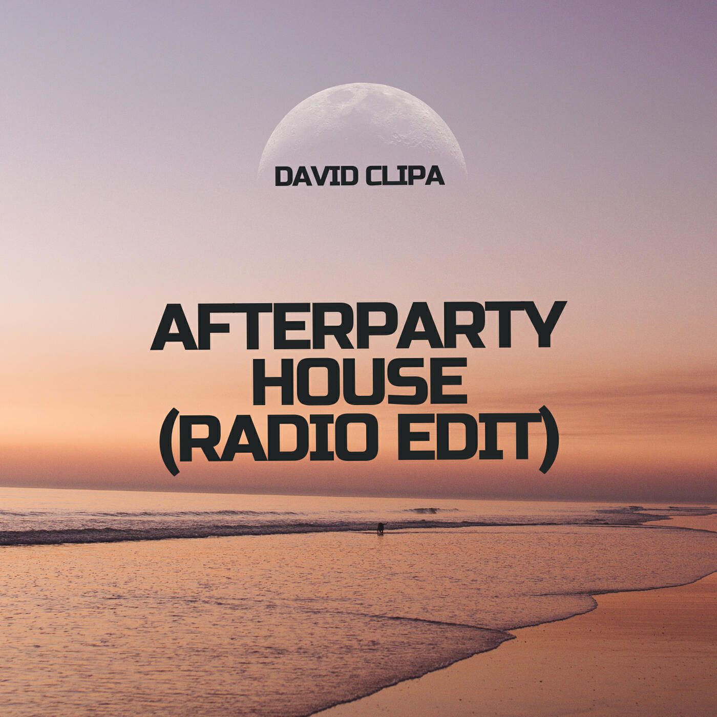 Релиз AfterParty House (Radio Edit)