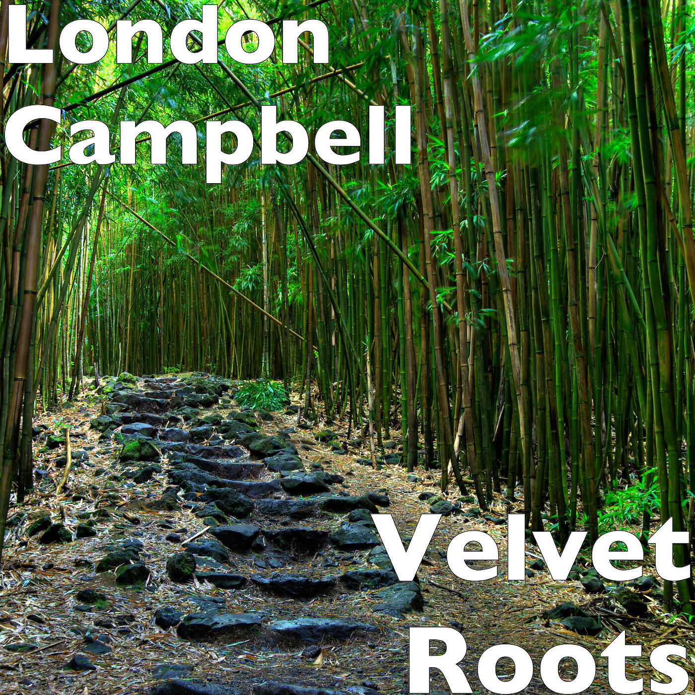Релиз Velvet Roots