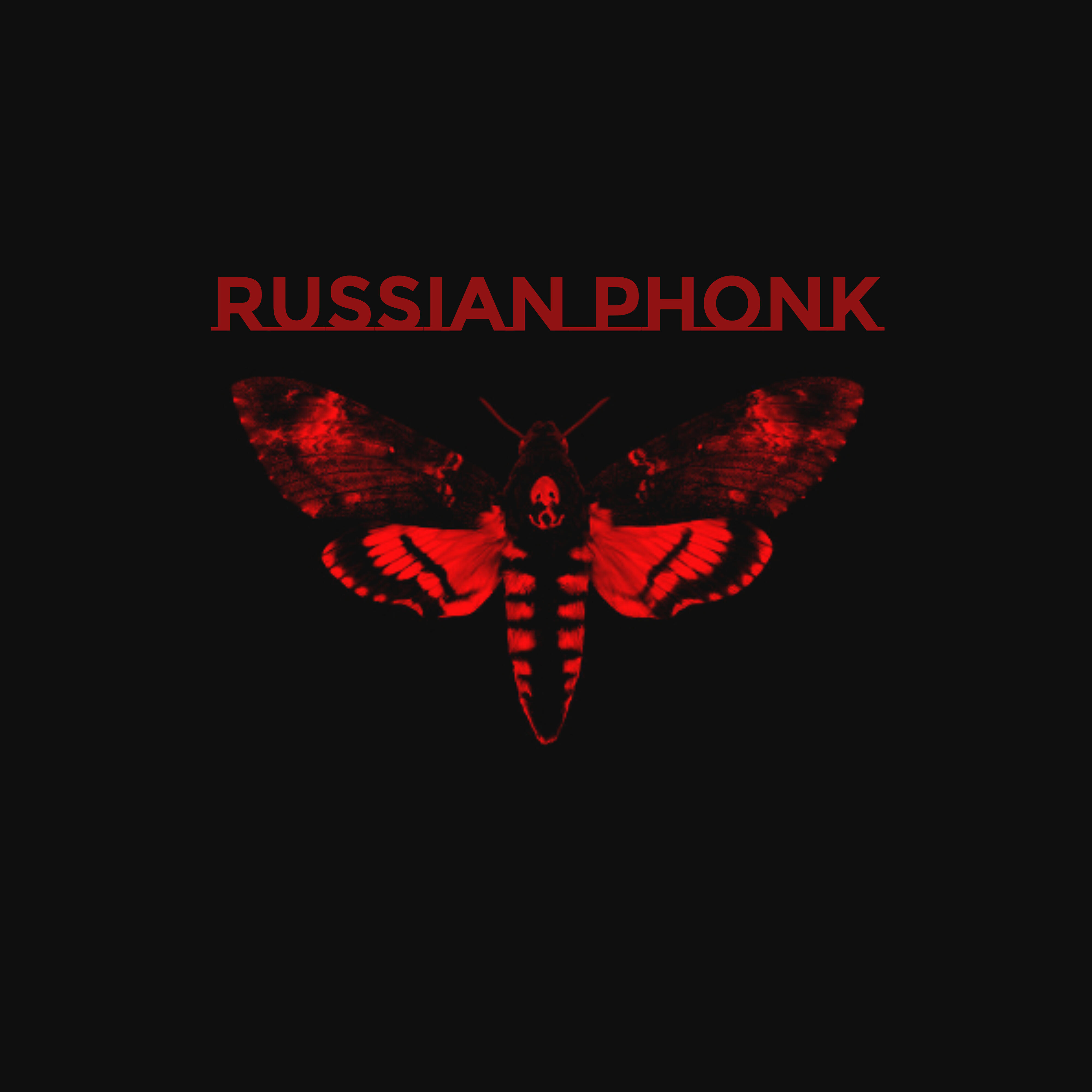 Постер альбома Russian Phonk