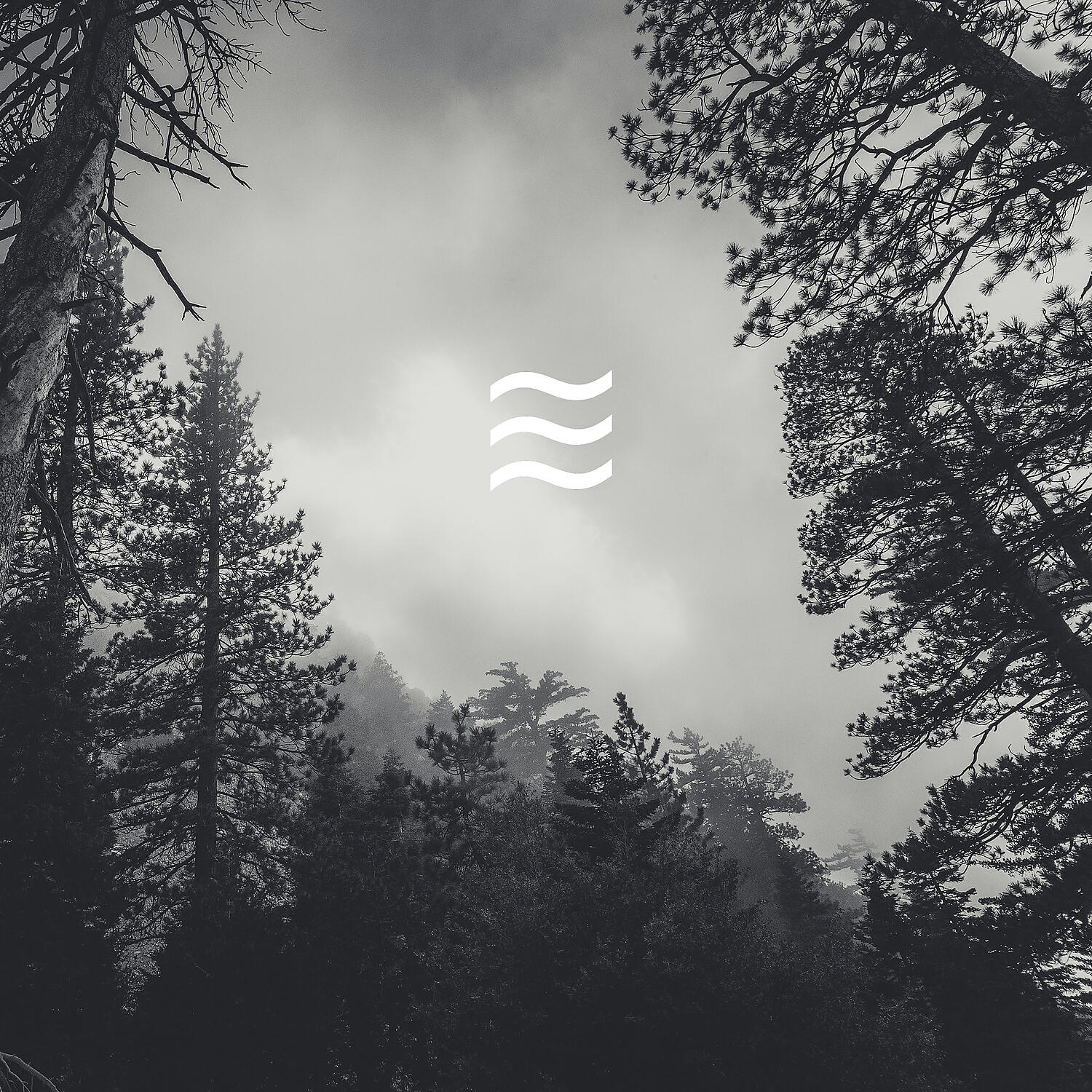 Релиз Mellow Foresty Noises Soughs