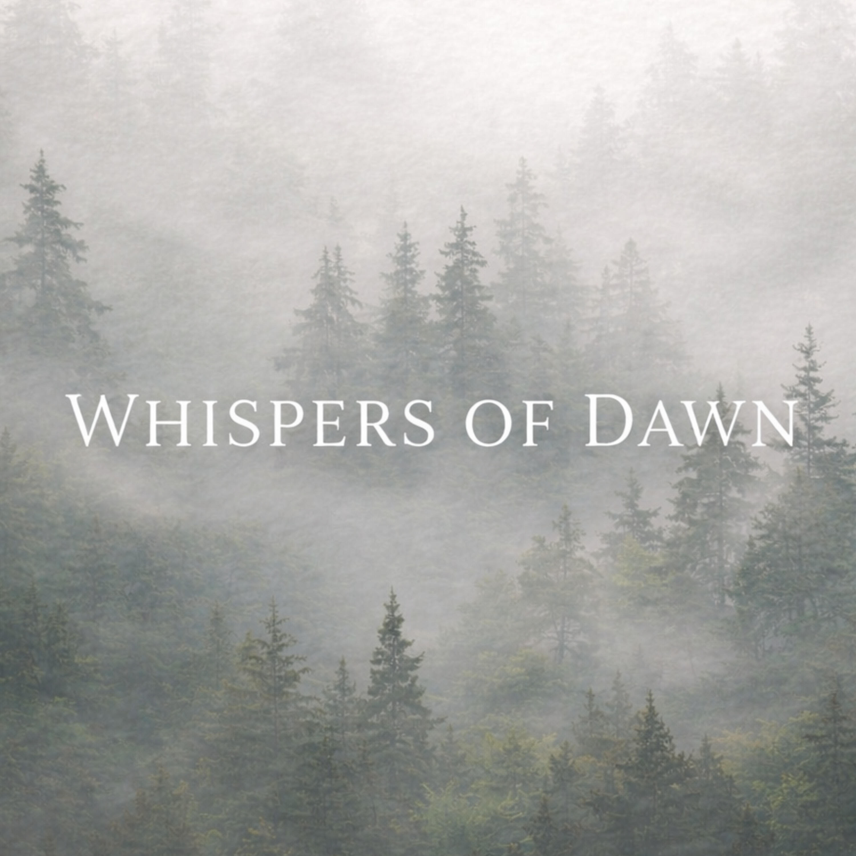 Релиз Whispers Of Dawn