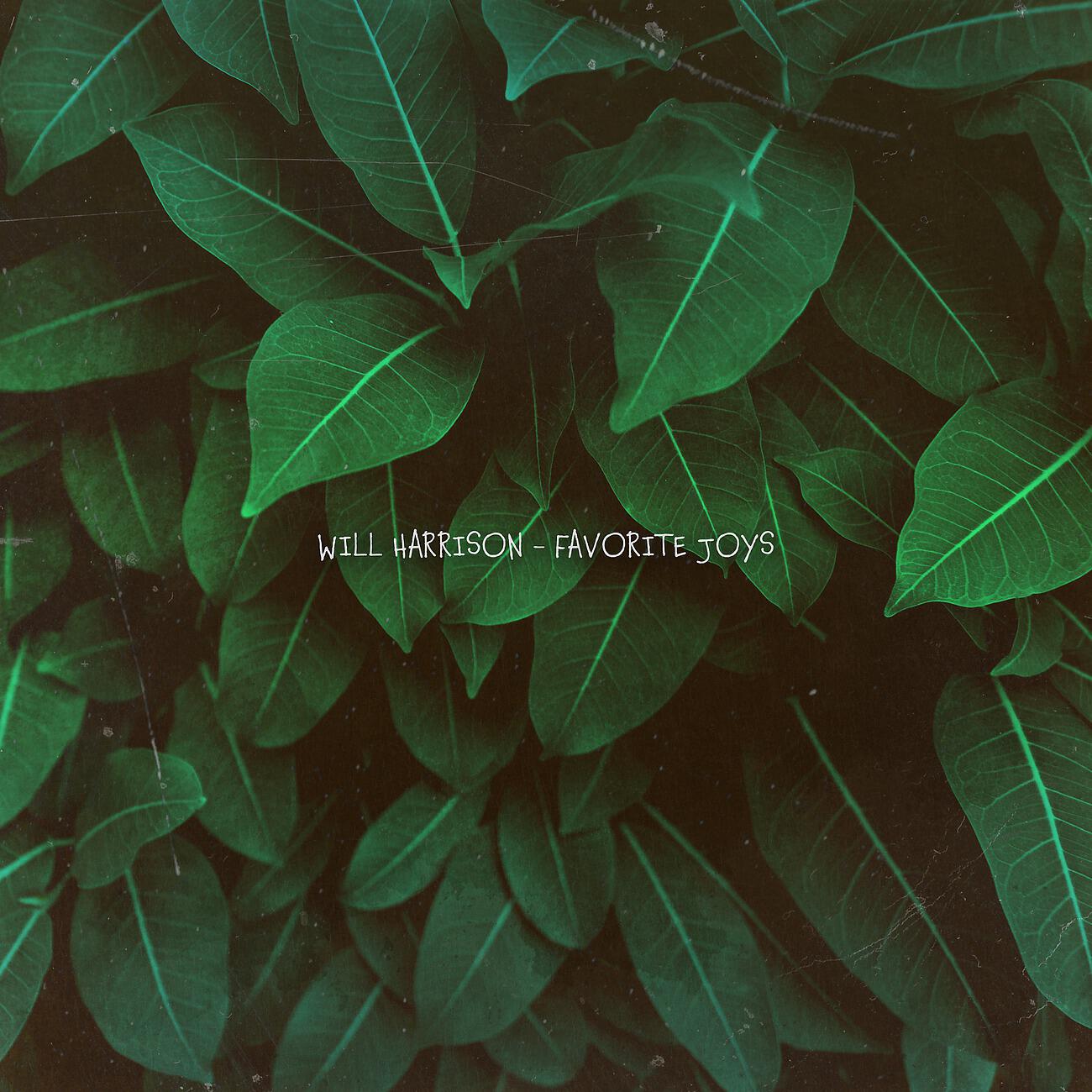 Релиз Favorite Joys