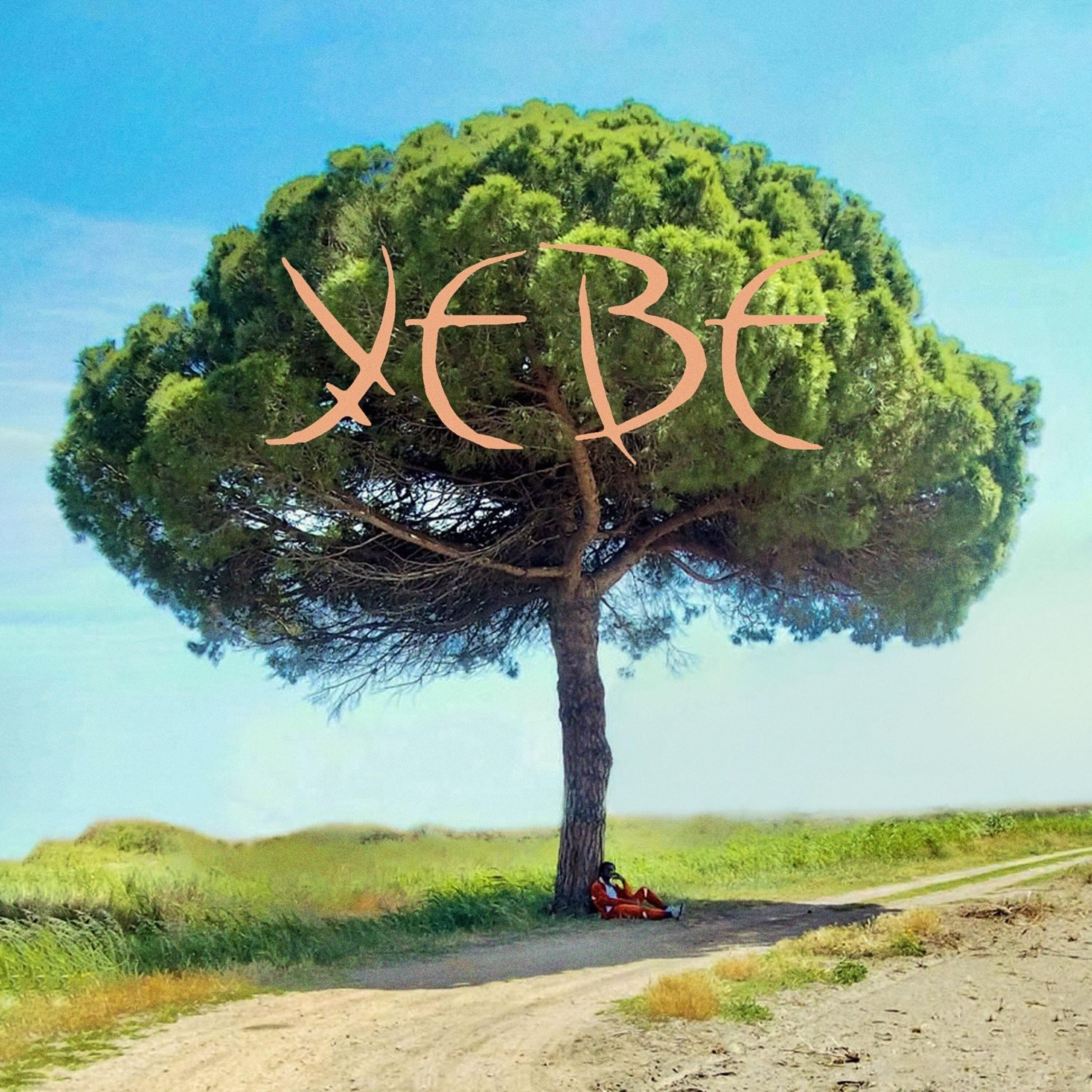 Релиз Yebe