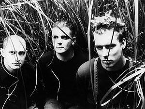The Wolfgang Press