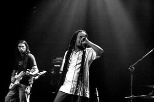 Rasta Voice