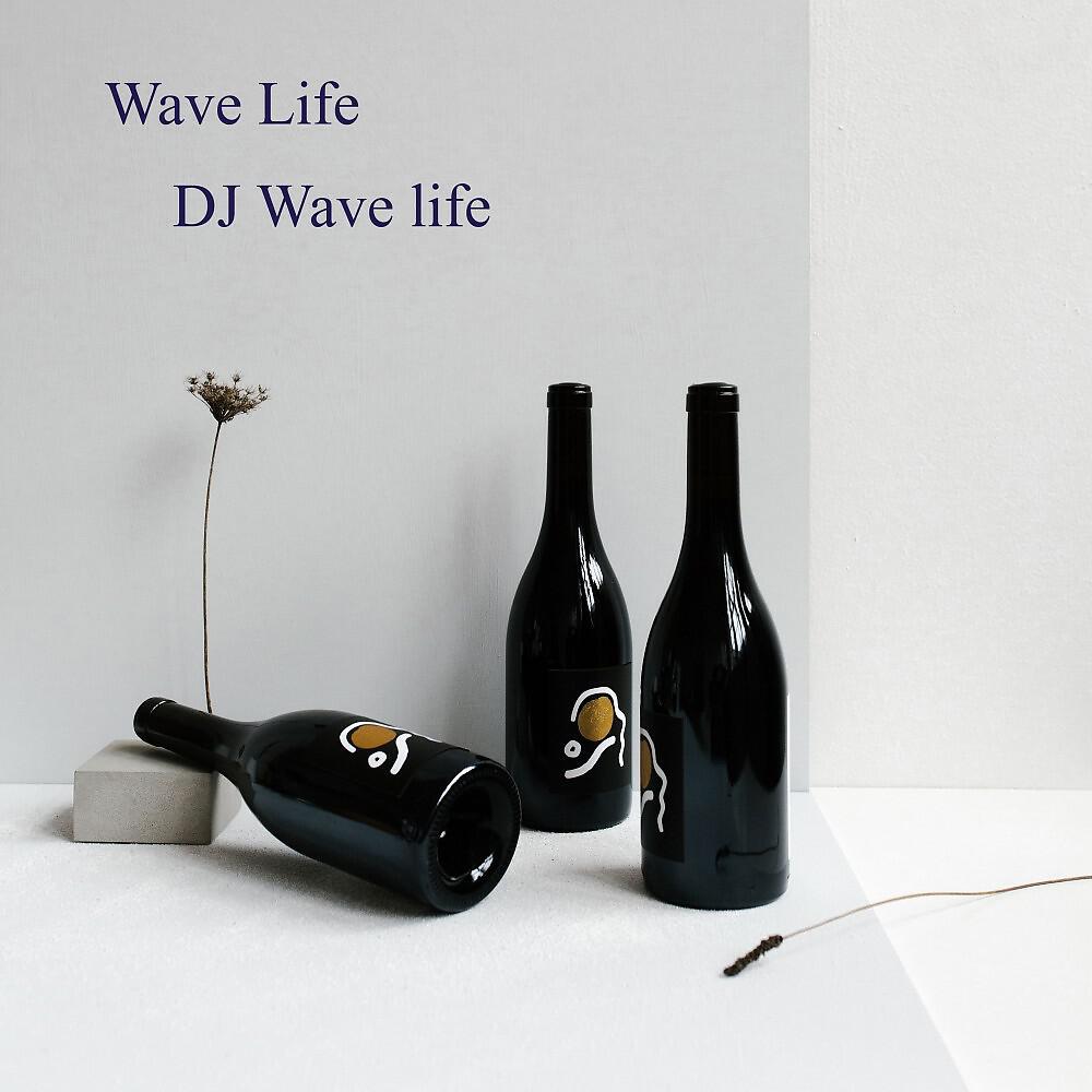 Релиз Wave Life