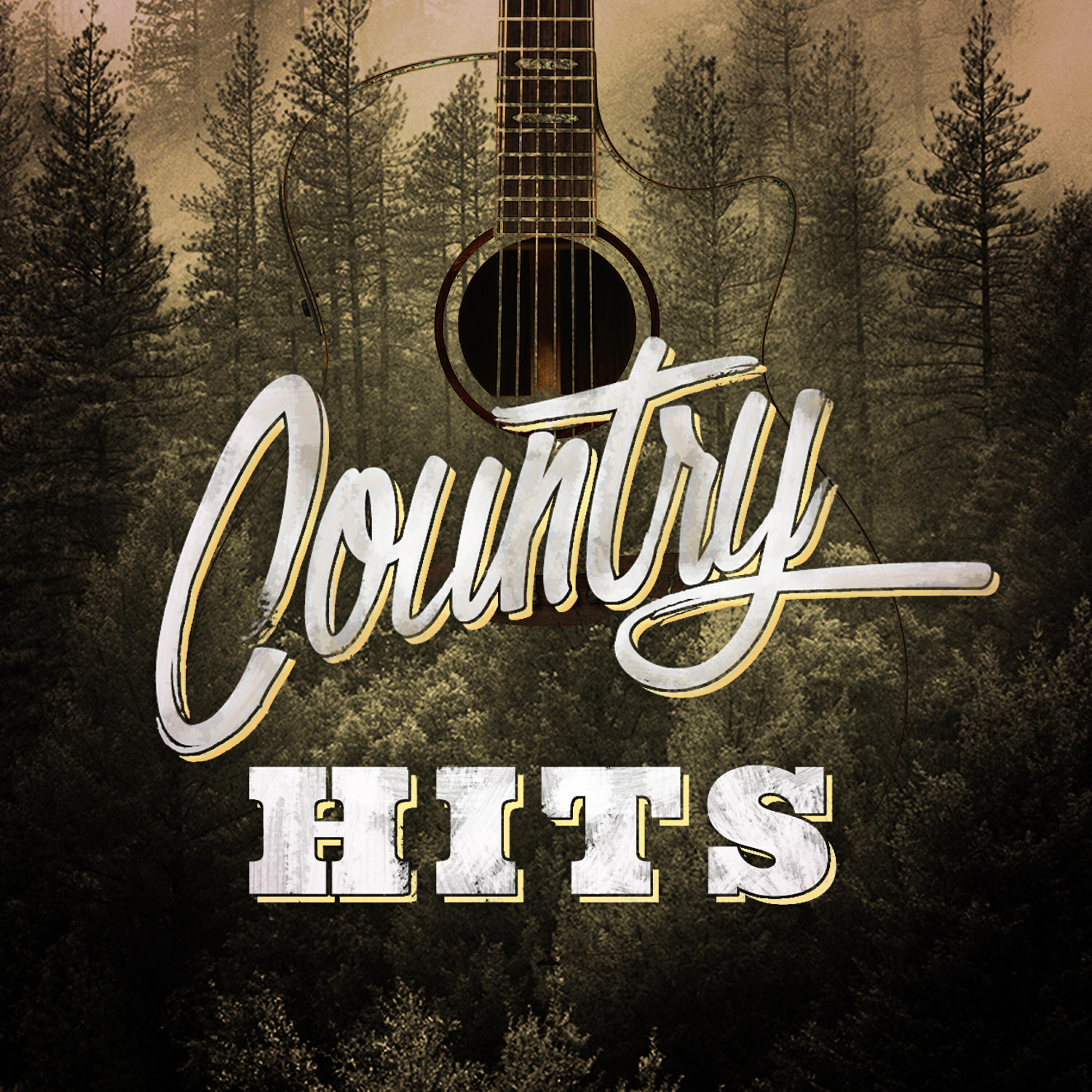 Постер альбома Country Hits