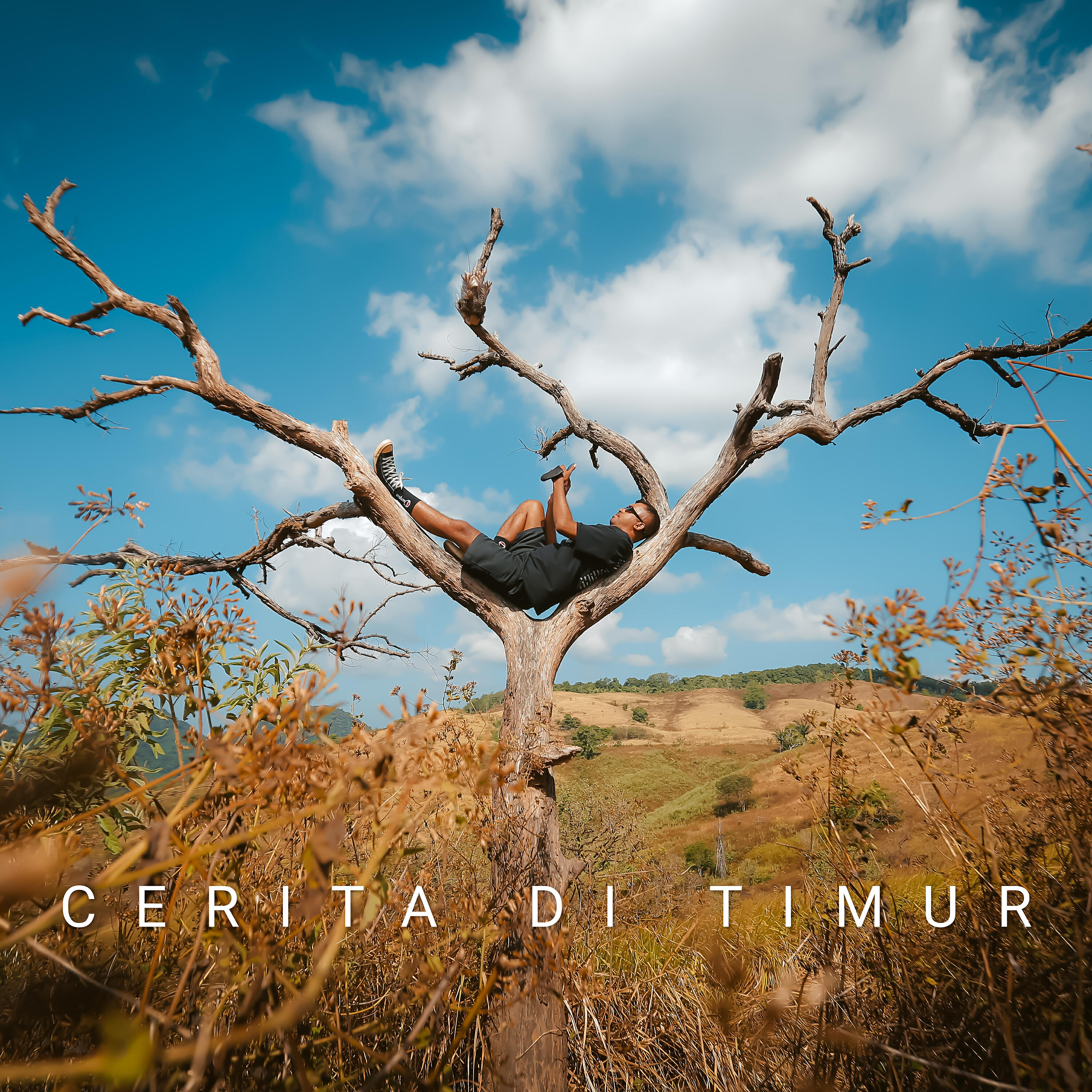 Релиз Cerita di Timur