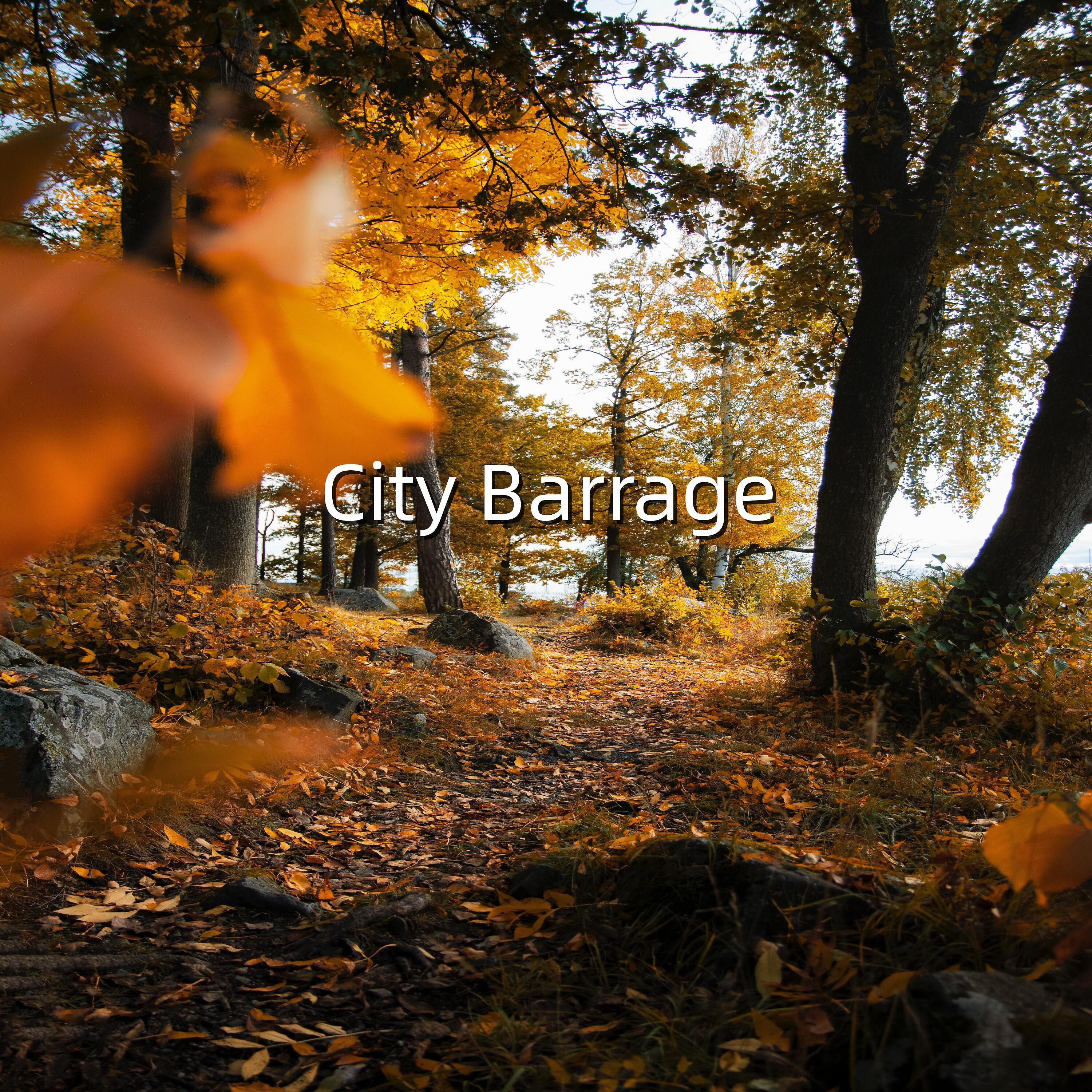 Релиз City Barrage