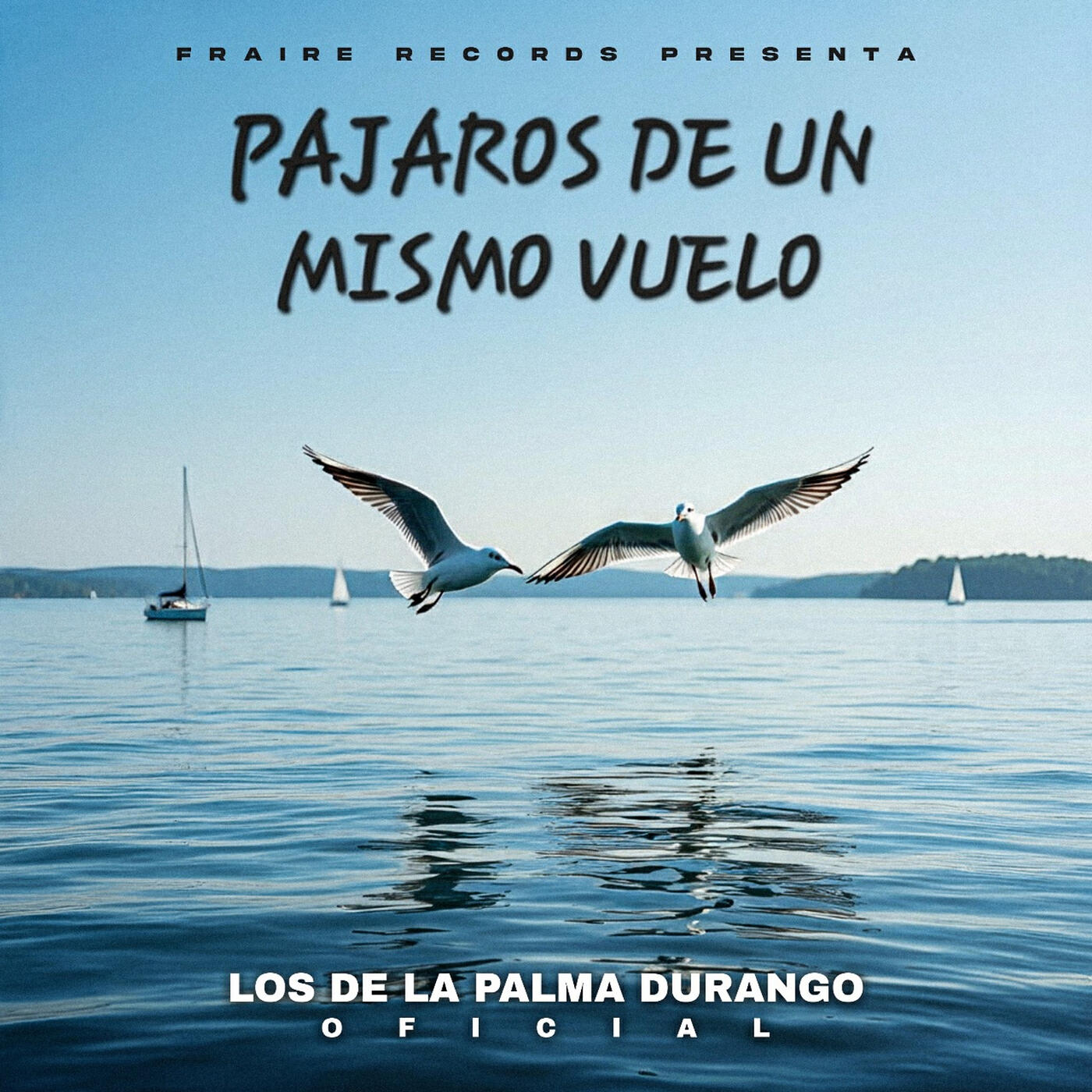 Релиз Pajaros De Un Mismo Vuelo