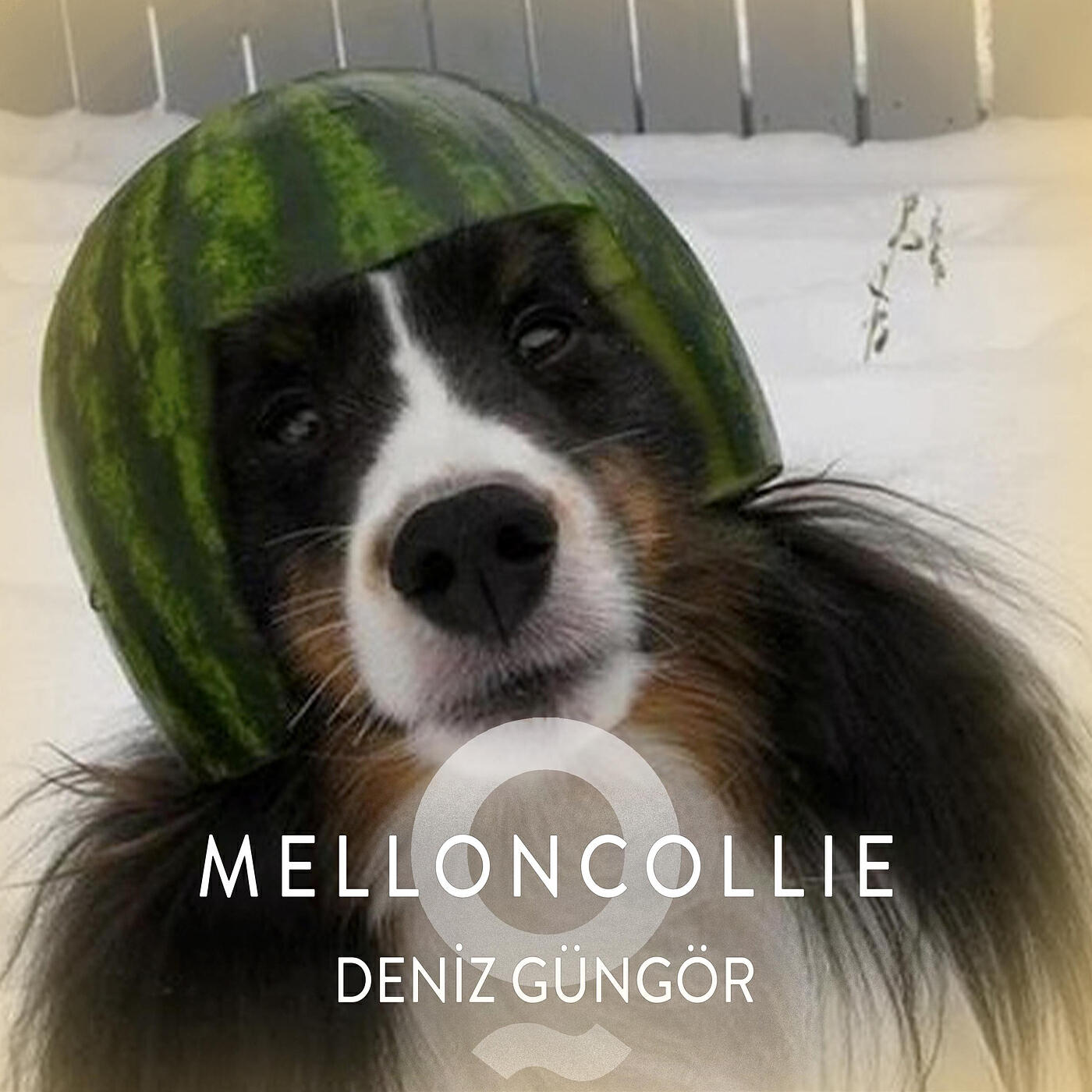 Релиз Melloncollie