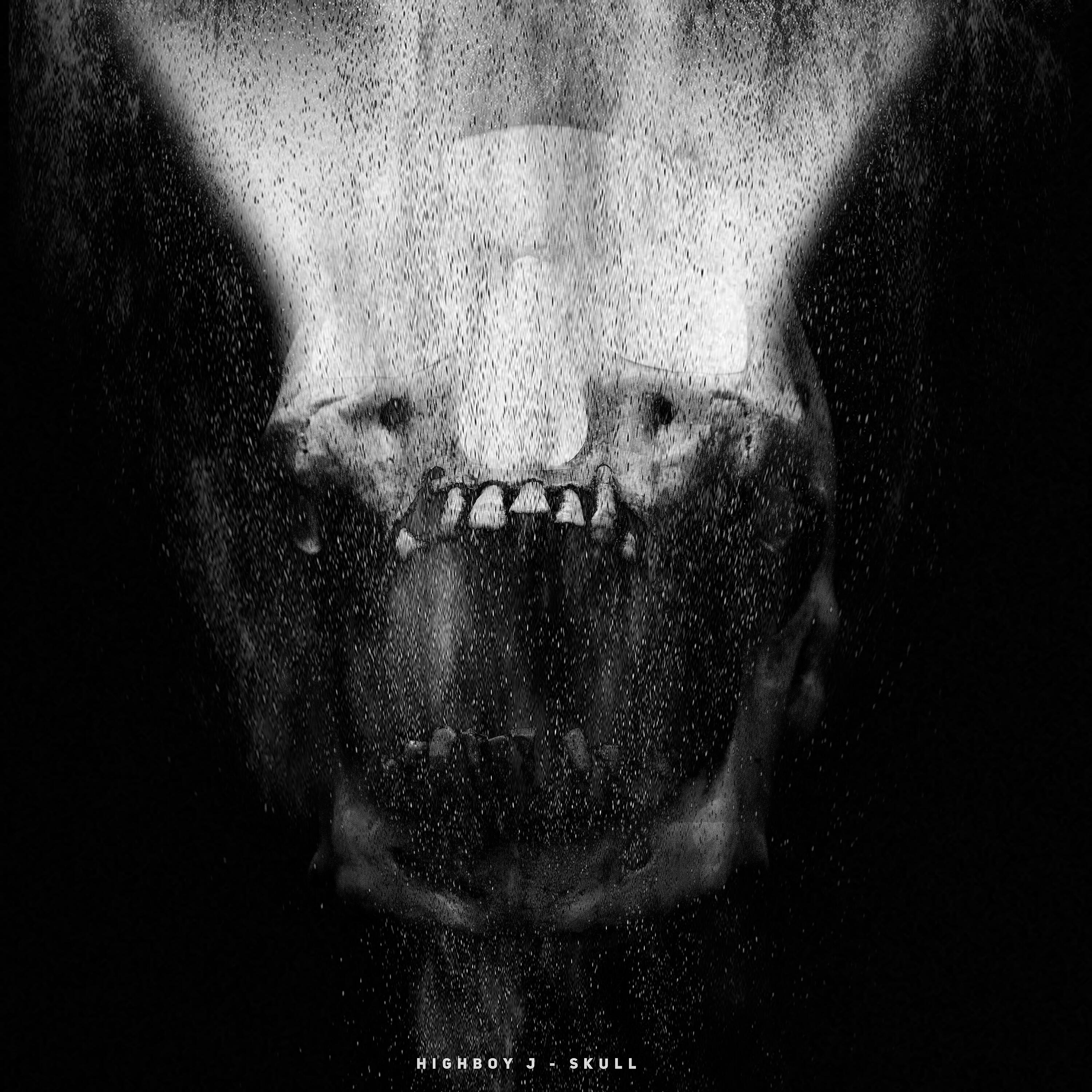 Постер альбома Skull
