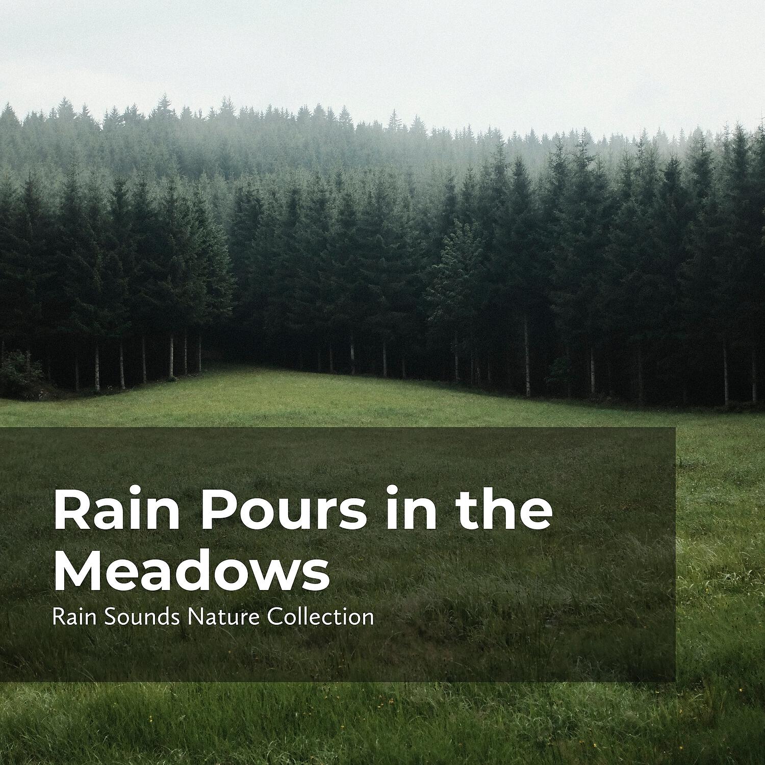 Релиз Rain Pours in the Meadows