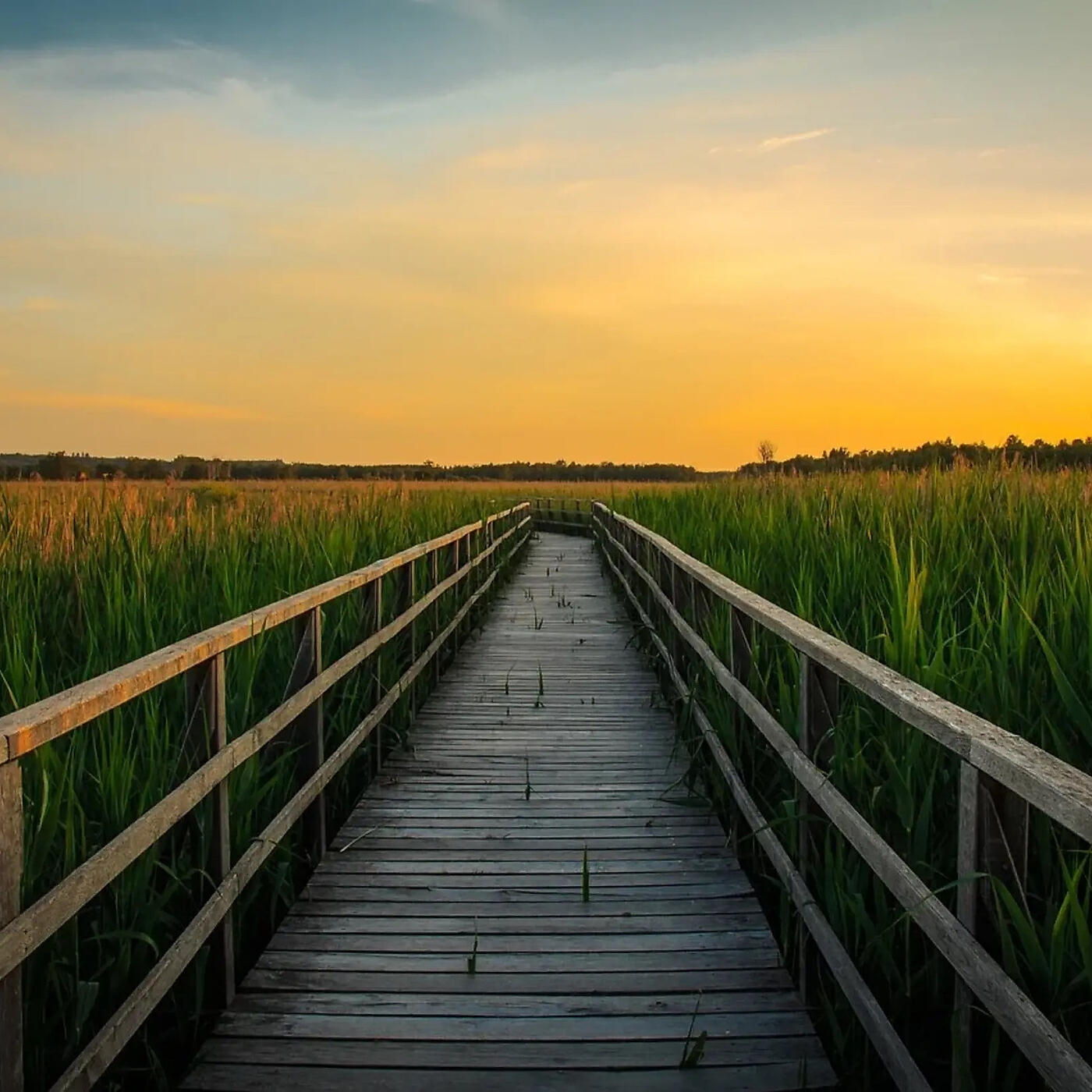 Релиз Chill & Relax