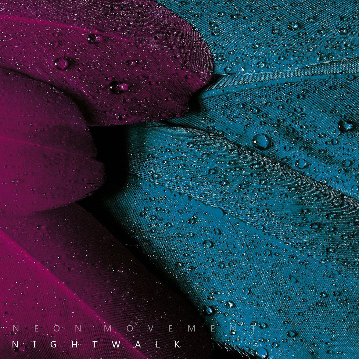 Релиз Nightwalk