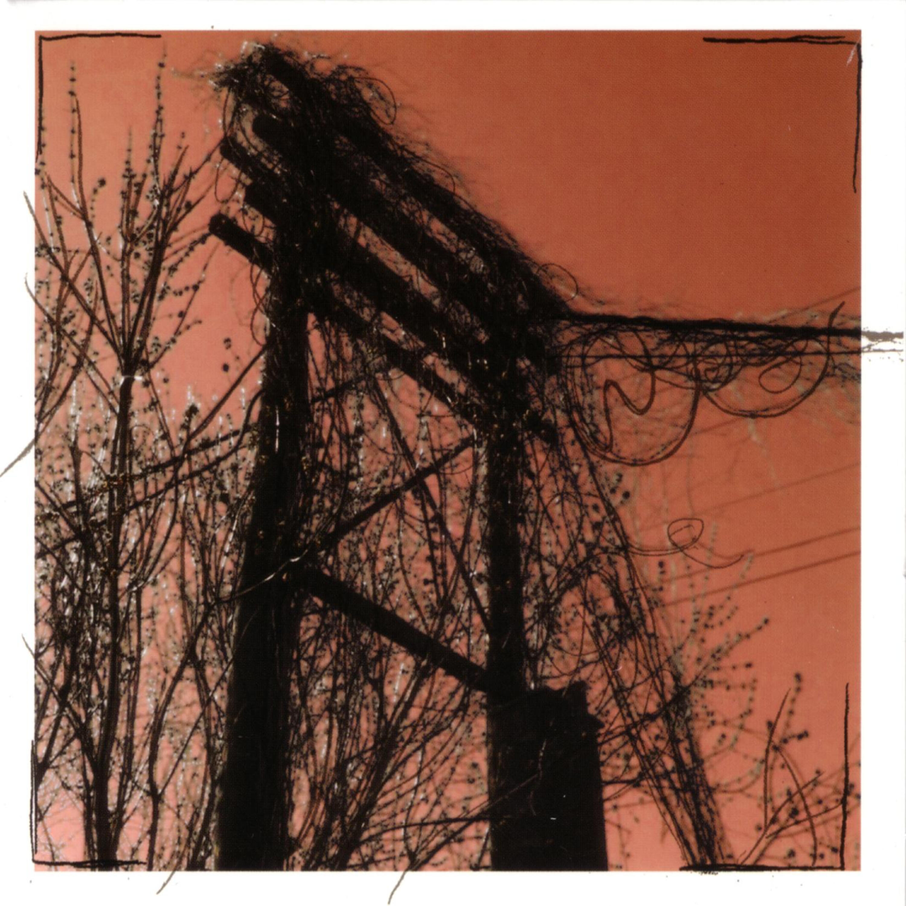 Постер альбома Accidents With Nature And Each Other
