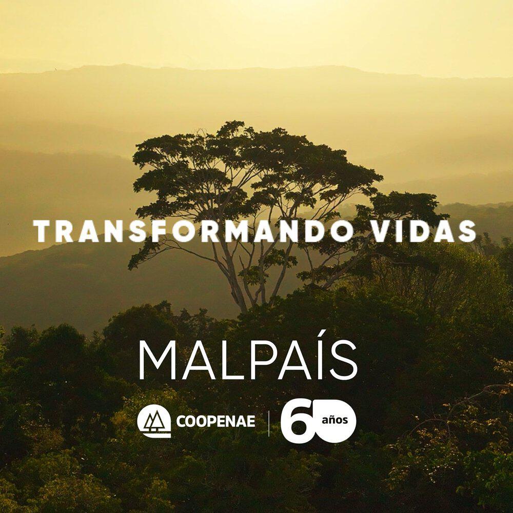 Релиз Transformando Vidas