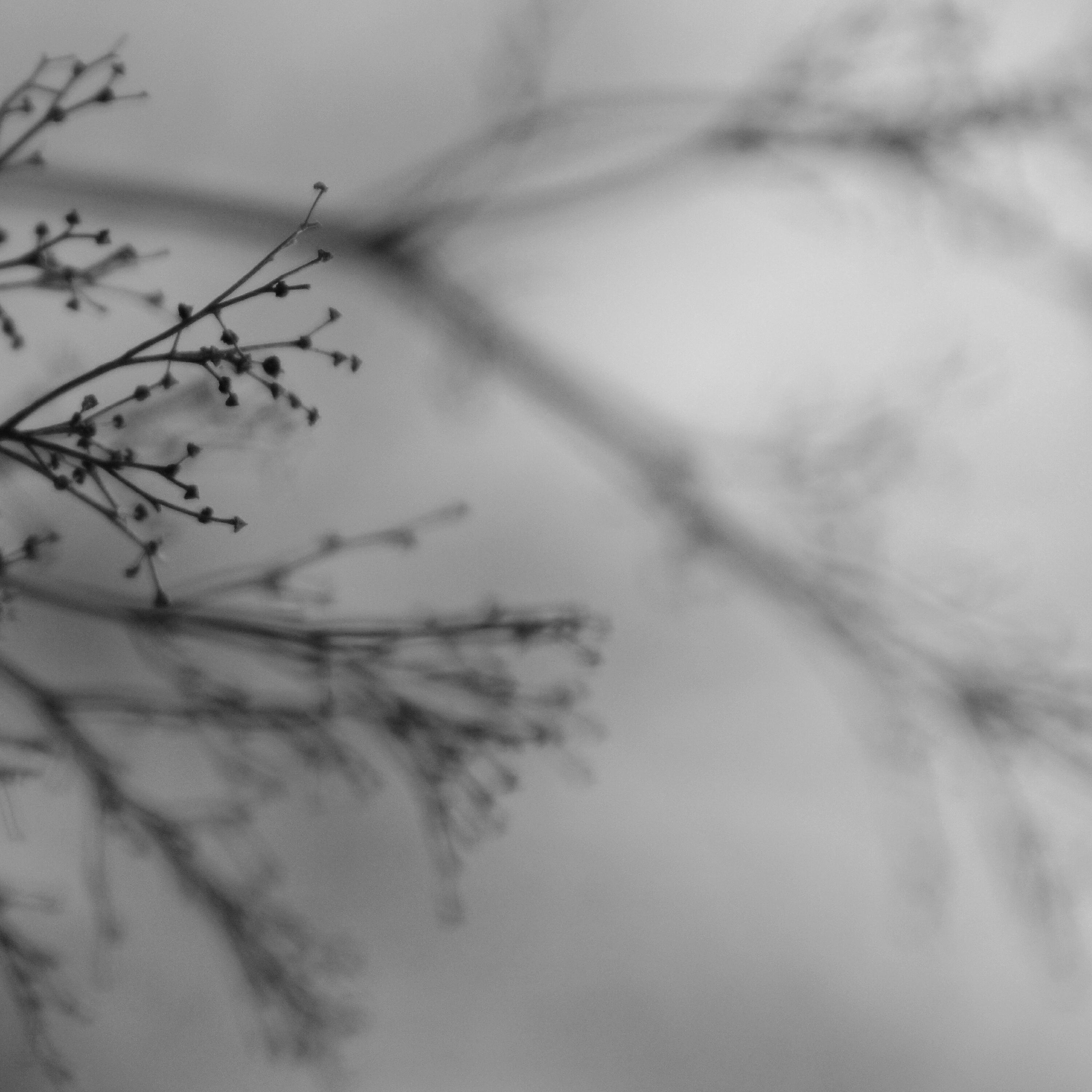 Релиз What Matters Most