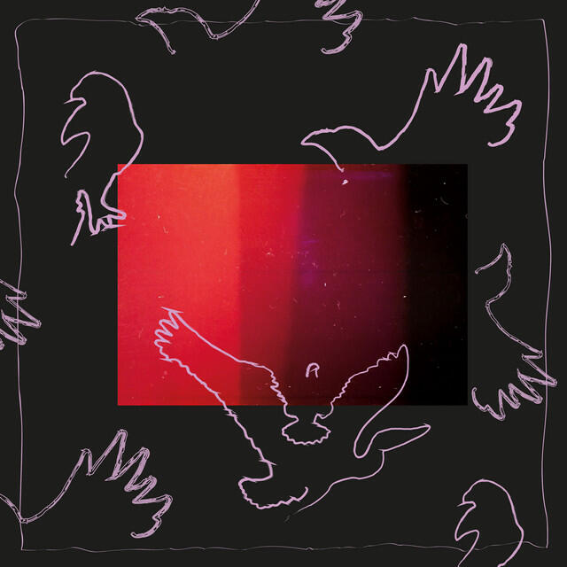 Постер альбома Birds