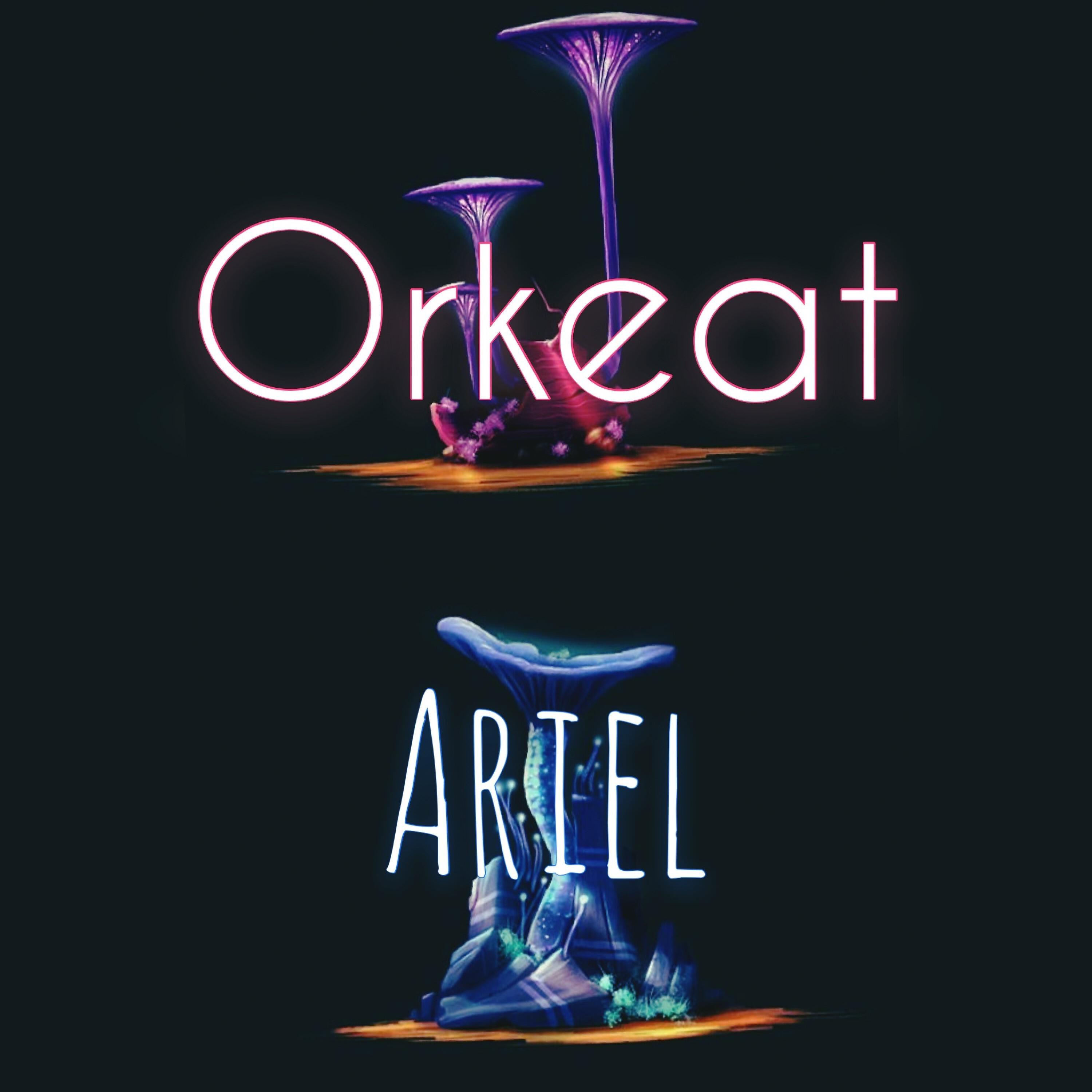 Релиз Ariel